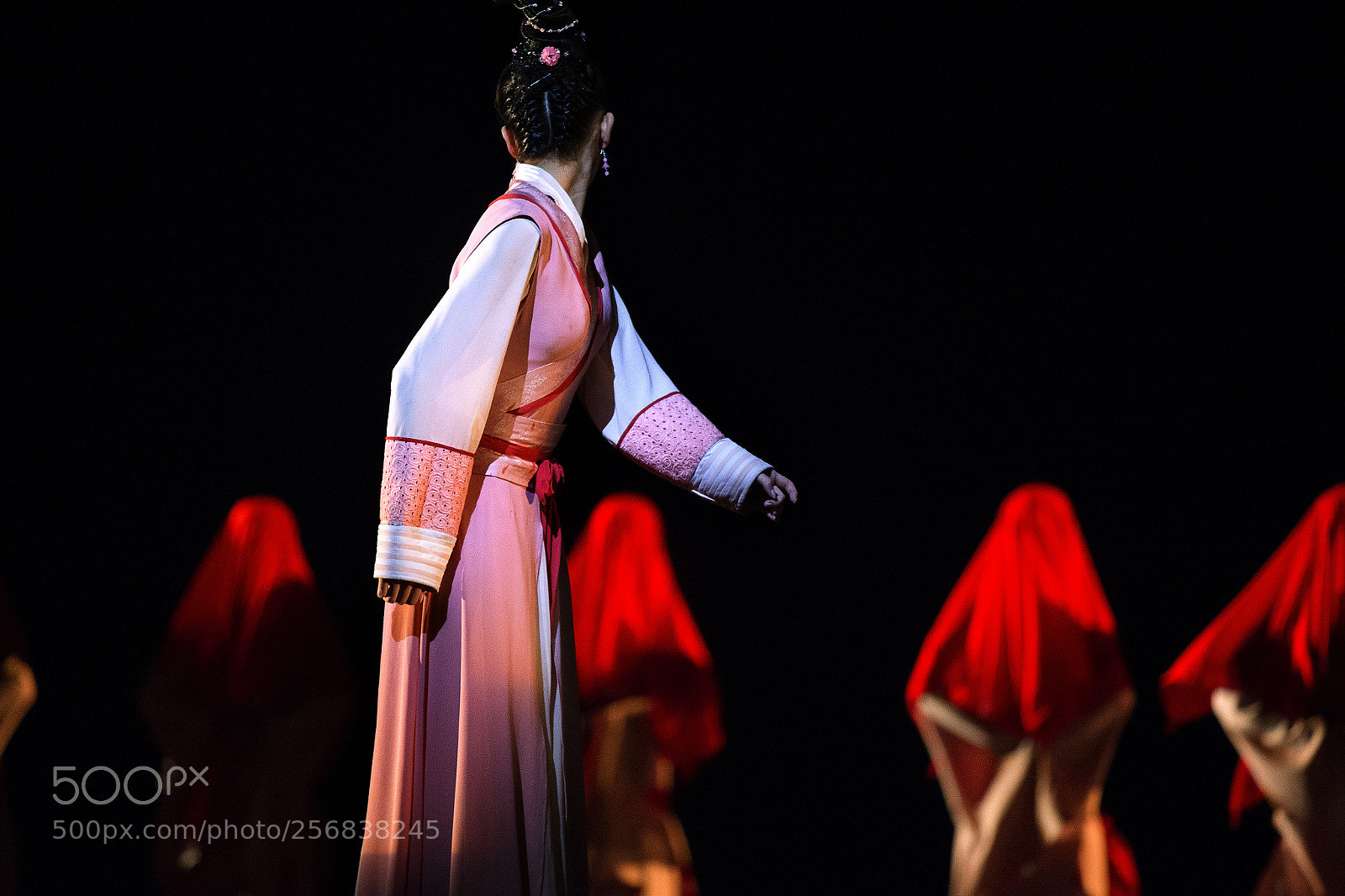 Canon EOS-1D X sample photo. 舞剧《梁祝》 photography