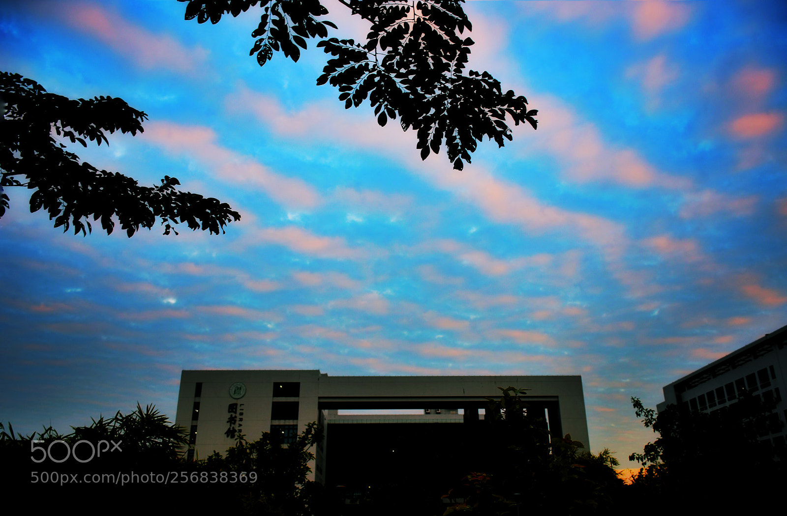 Nikon D7200 sample photo. Blue photography