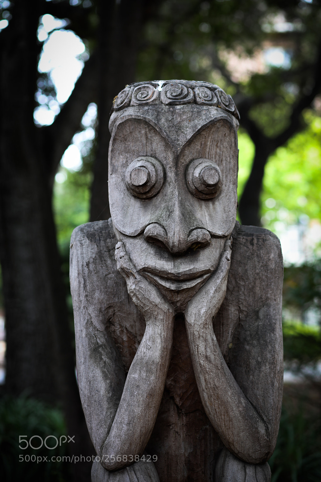 Canon EOS 5D Mark IV sample photo. Wooden statue photography