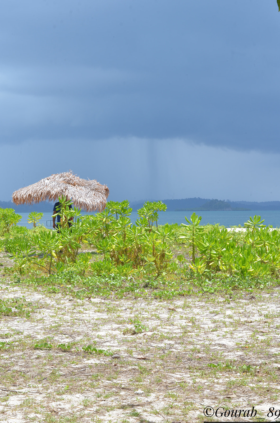 Nikon D5100 sample photo. Rain photography