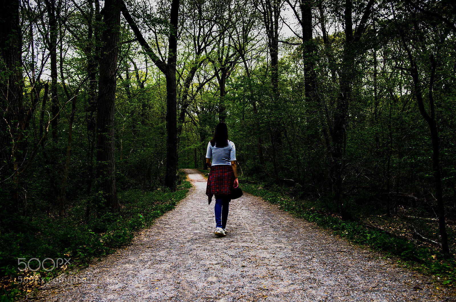 Nikon D7000 sample photo. Trail photography
