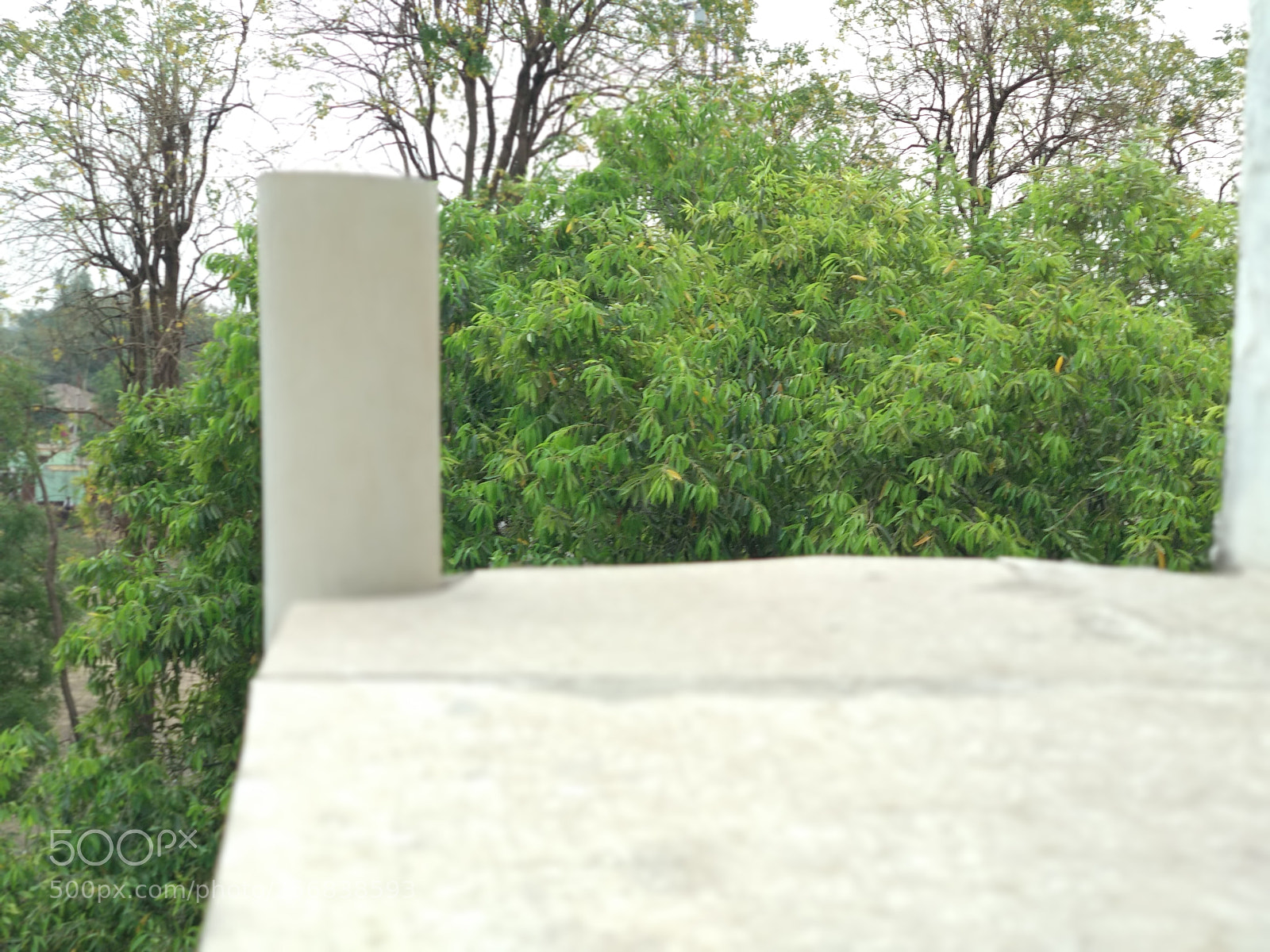 Xiaomi Mi A1 sample photo. Img_20180319_170657.jpg photography
