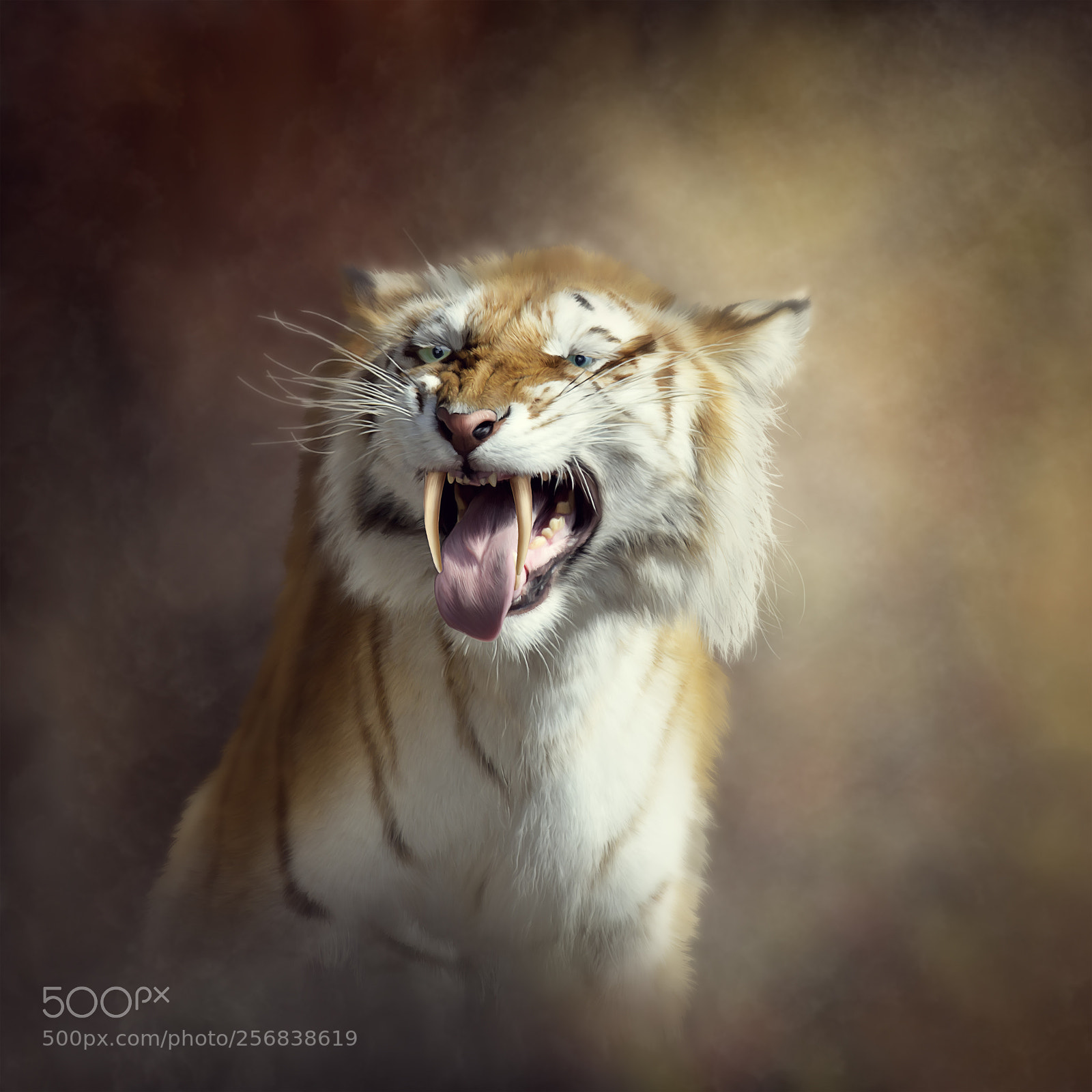 Nikon D800 sample photo. Sabertooth tiger portrait photography
