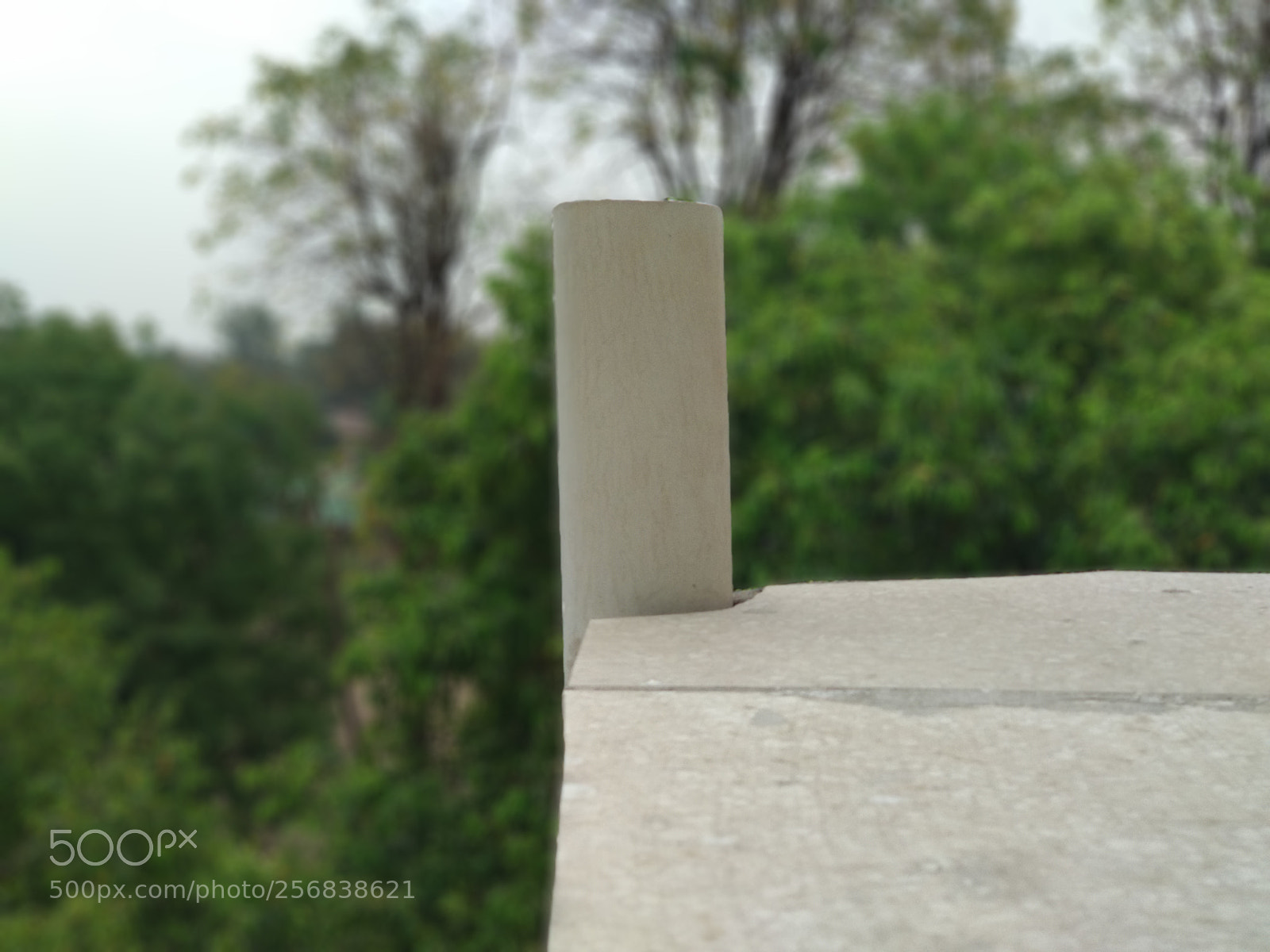 Xiaomi Mi A1 sample photo. Img_20180319_170652.jpg photography