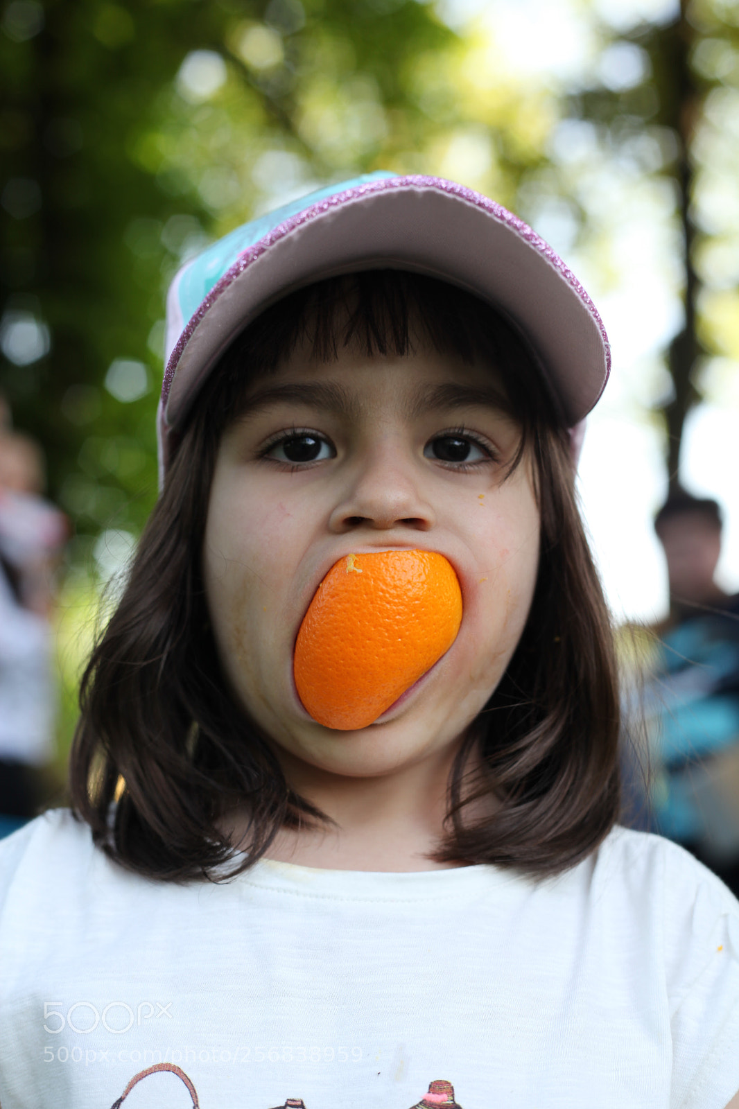 Canon EOS 5D Mark II sample photo. Untitled photography