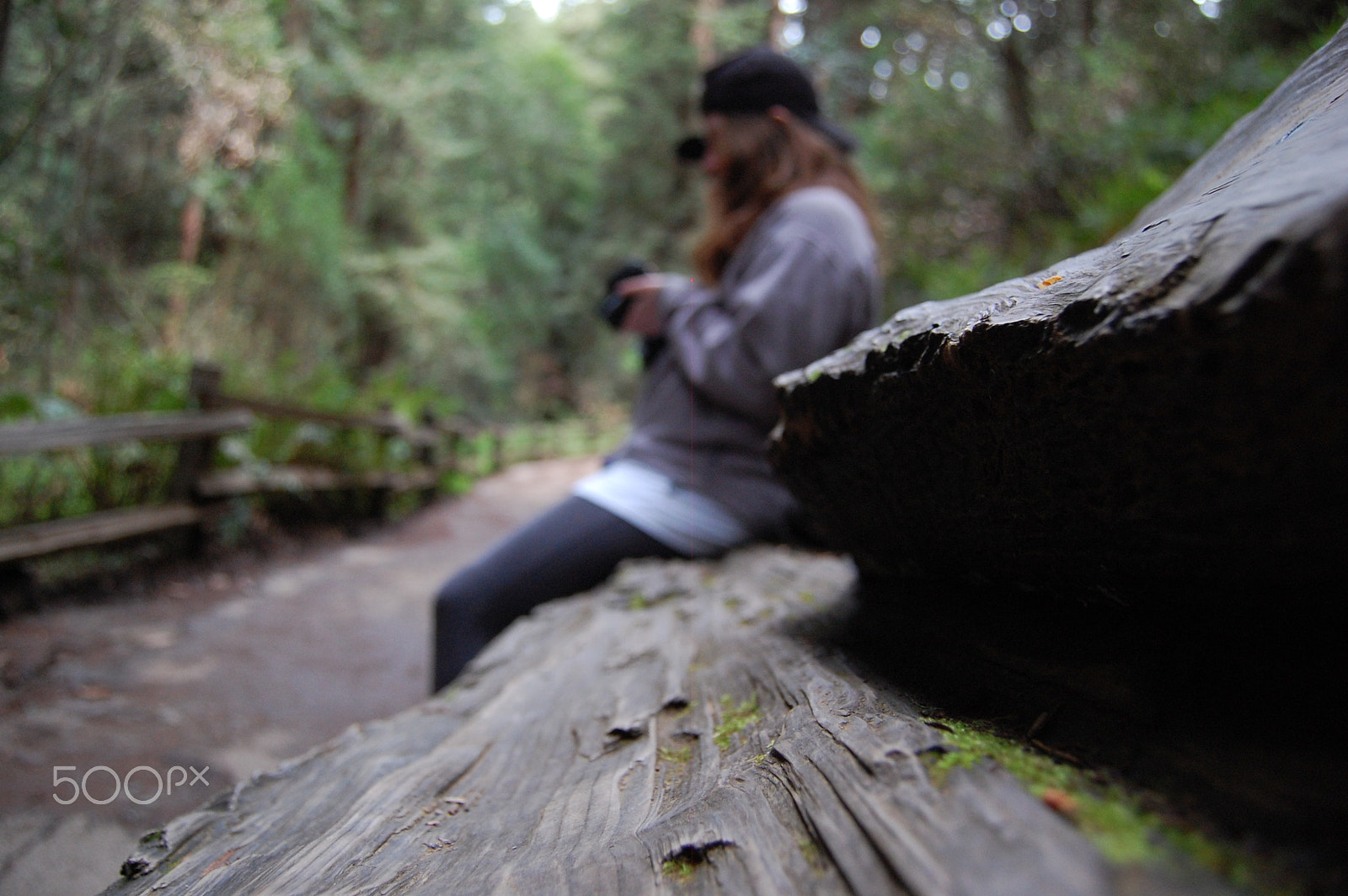 Nikon D40 sample photo. Photographer on a log photography