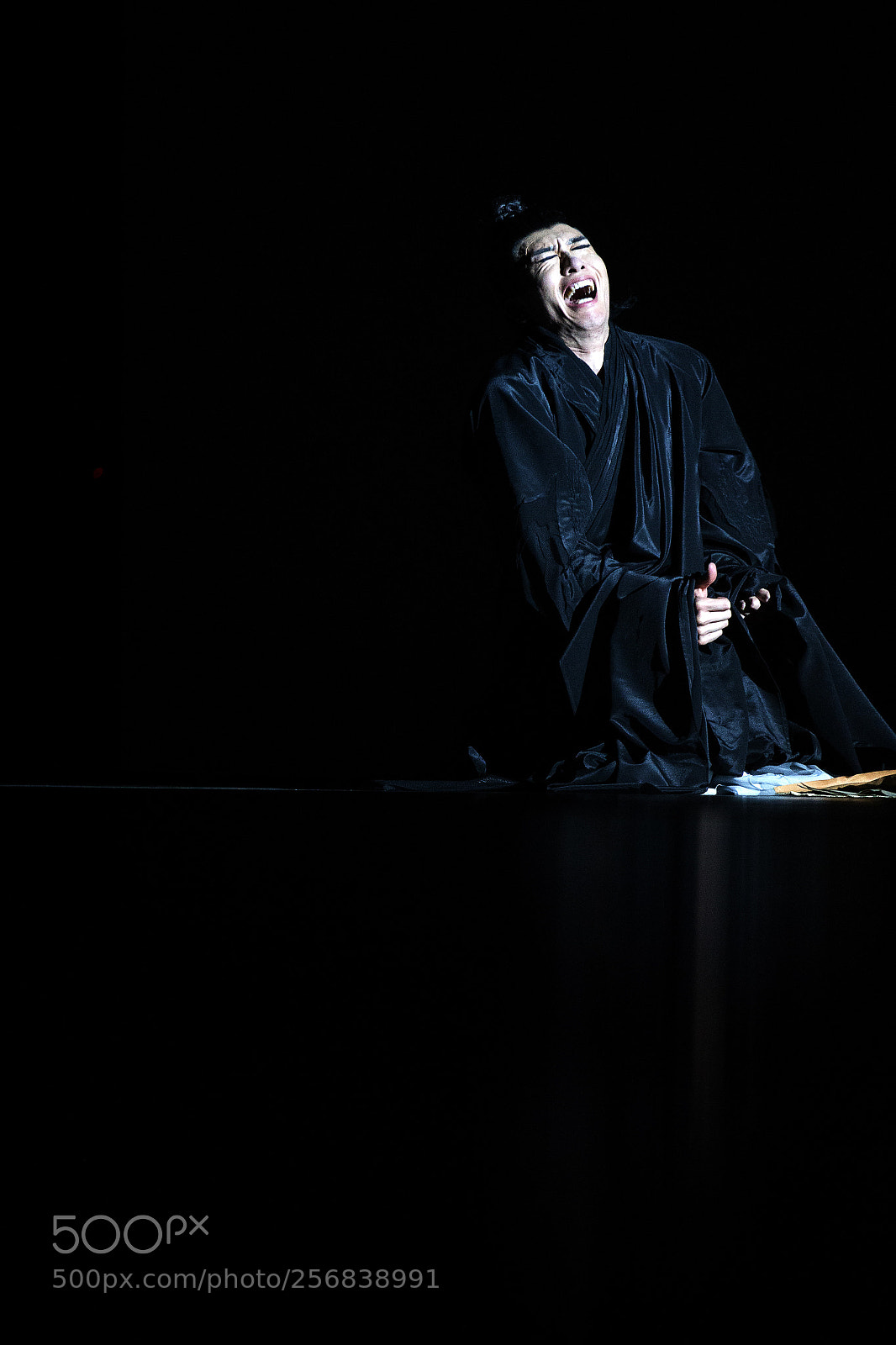 Canon EOS-1D X sample photo. 舞剧《梁祝》 photography