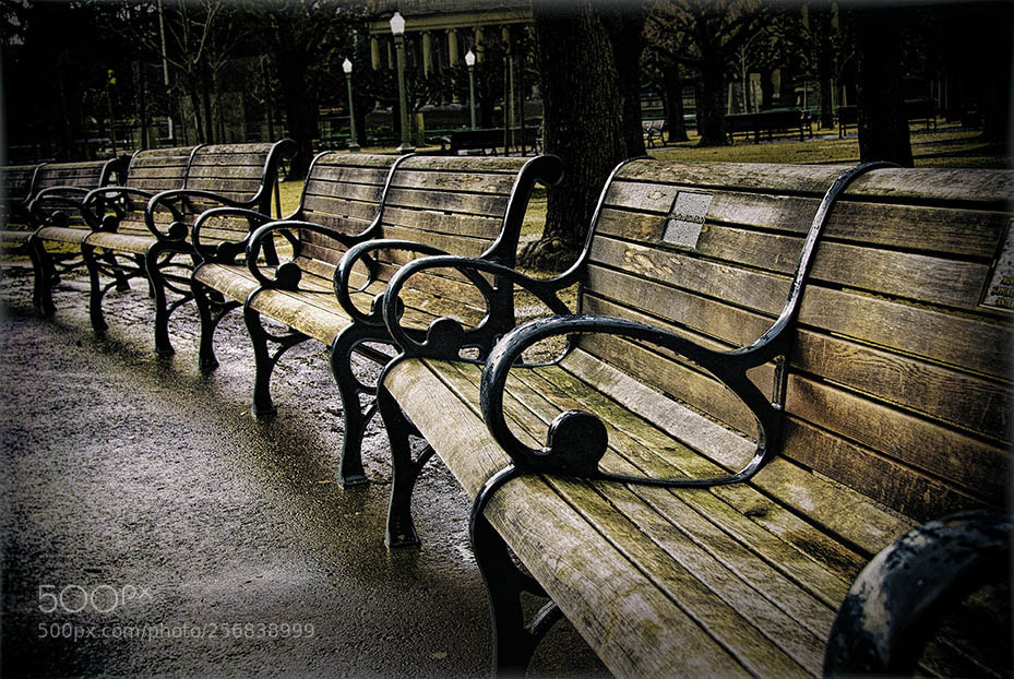 Nikon D200 sample photo. Dedicated benches photography