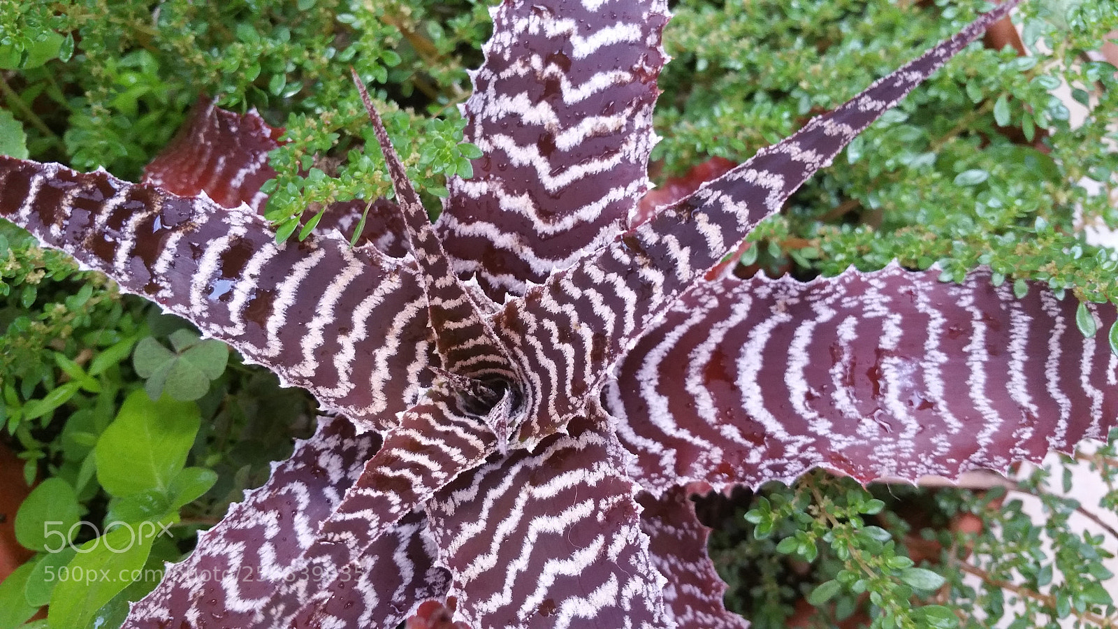 Samsung Galaxy Note4 sample photo. Untitled photography