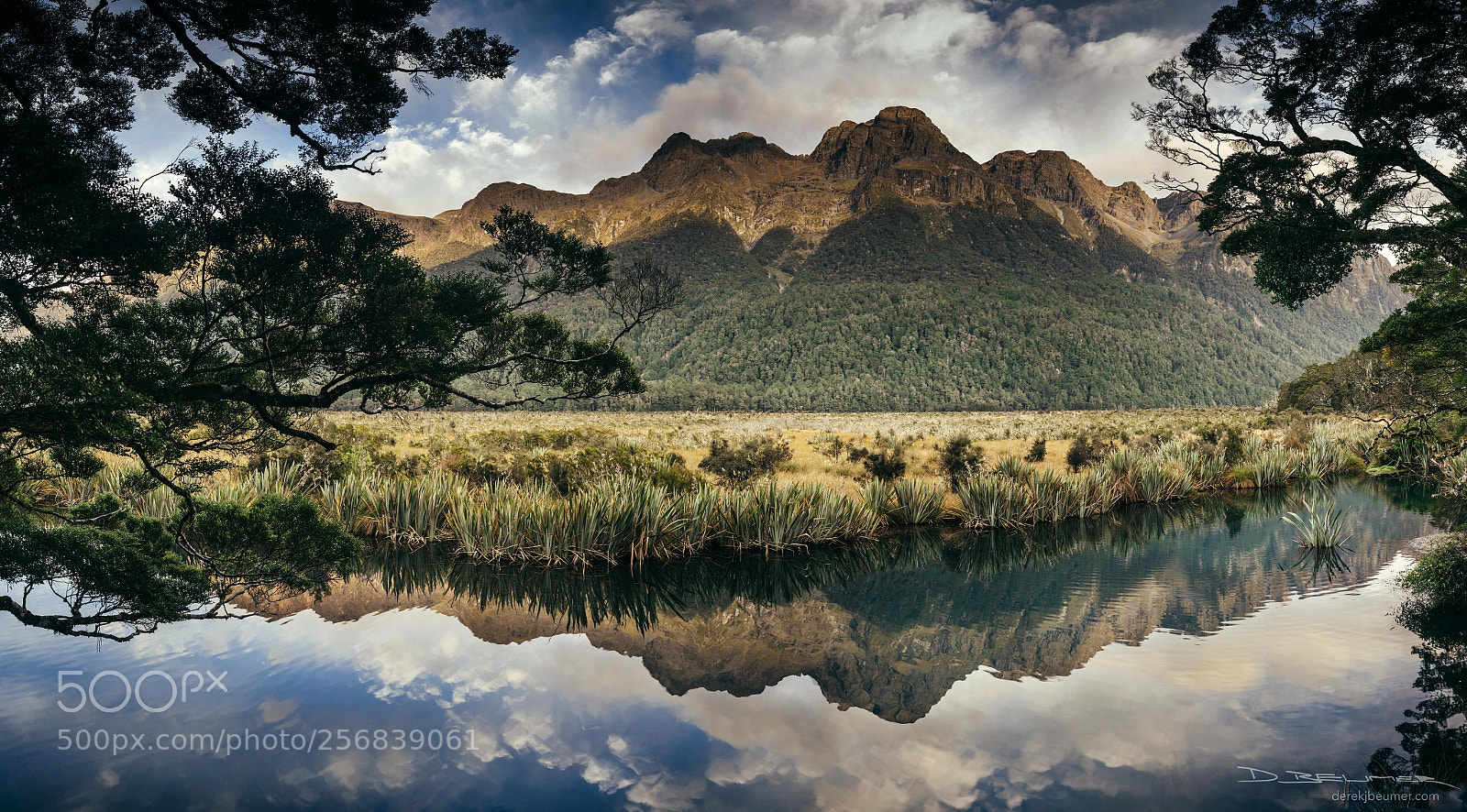 Sony a7R II sample photo. Whakaata photography