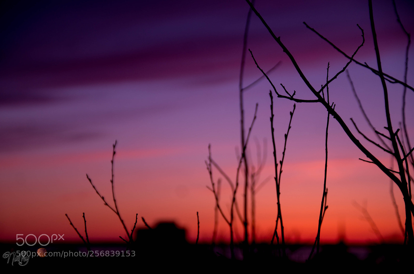 Pentax K-30 sample photo. Beatiful sunset with love photography