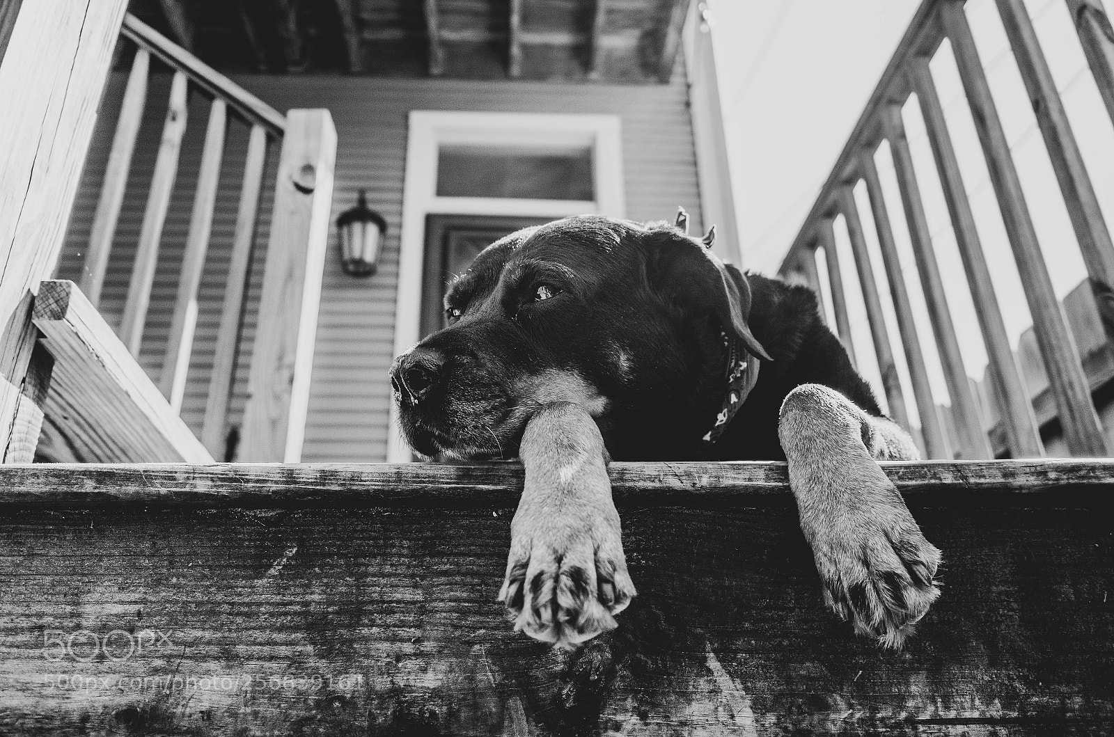 Ricoh GR II sample photo. Beatrice porch photography