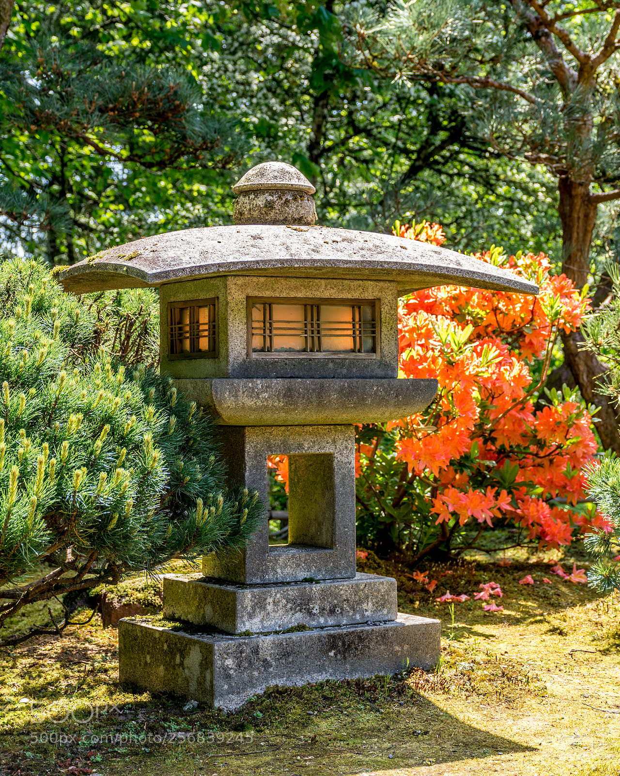 Nikon D7100 sample photo. Lantern and blooms photography