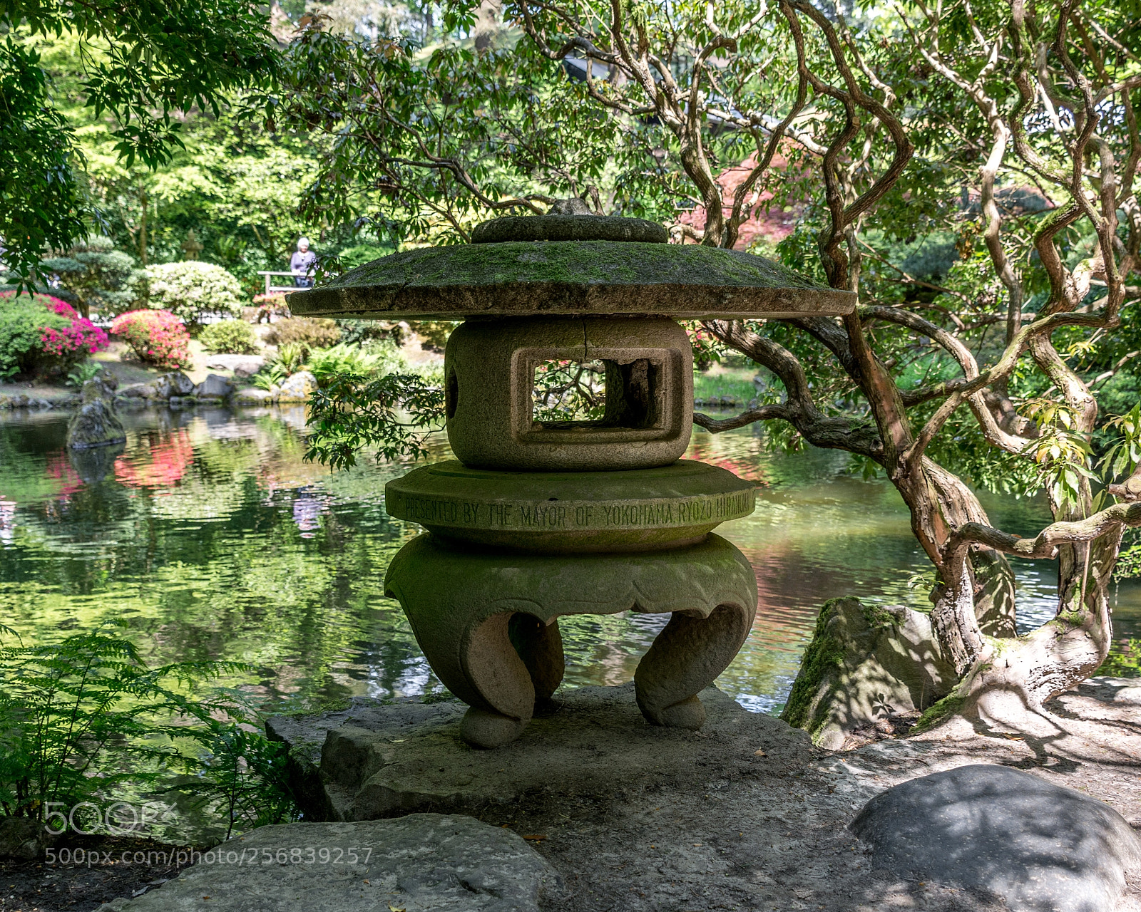 Nikon D7100 sample photo. Lantern and the lake photography