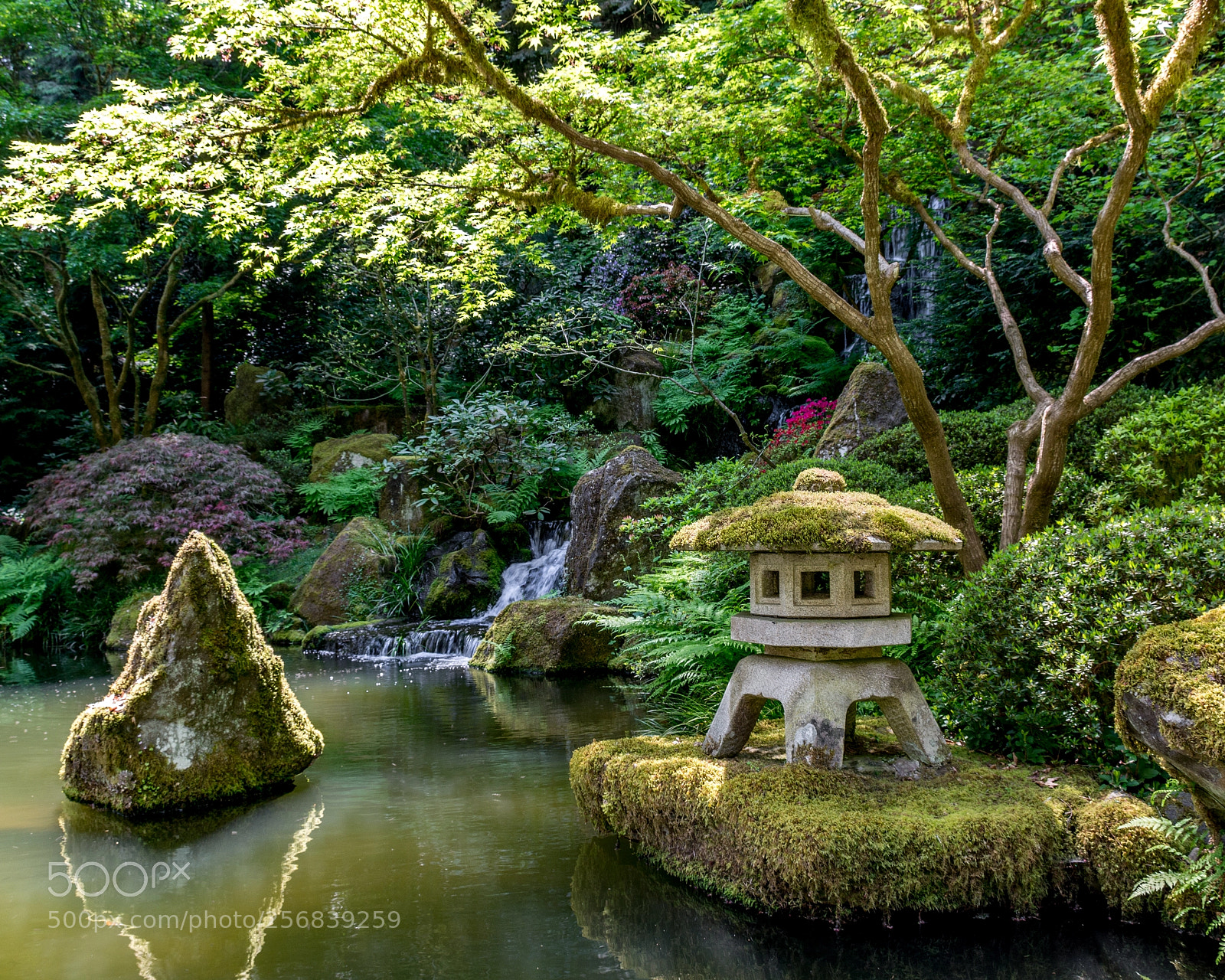 Nikon D7100 sample photo. Lantern and falls photography