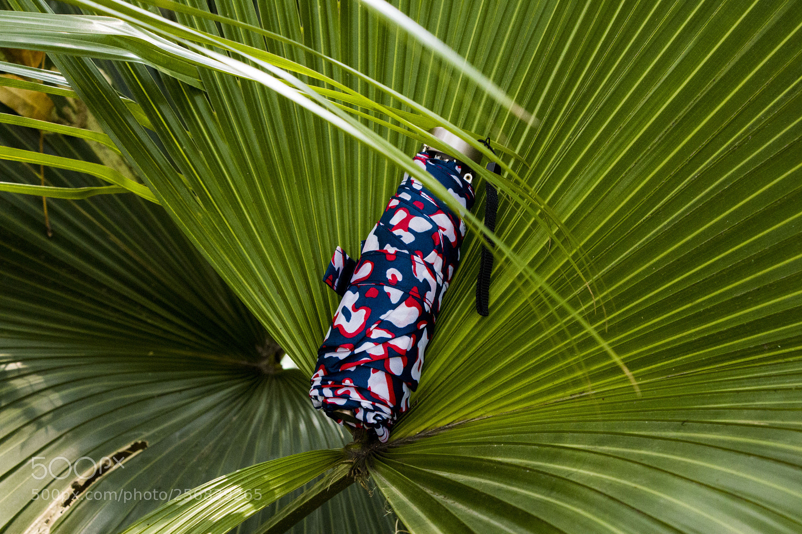 Canon EOS 77D (EOS 9000D / EOS 770D) sample photo. Mini umbrella makes good photography