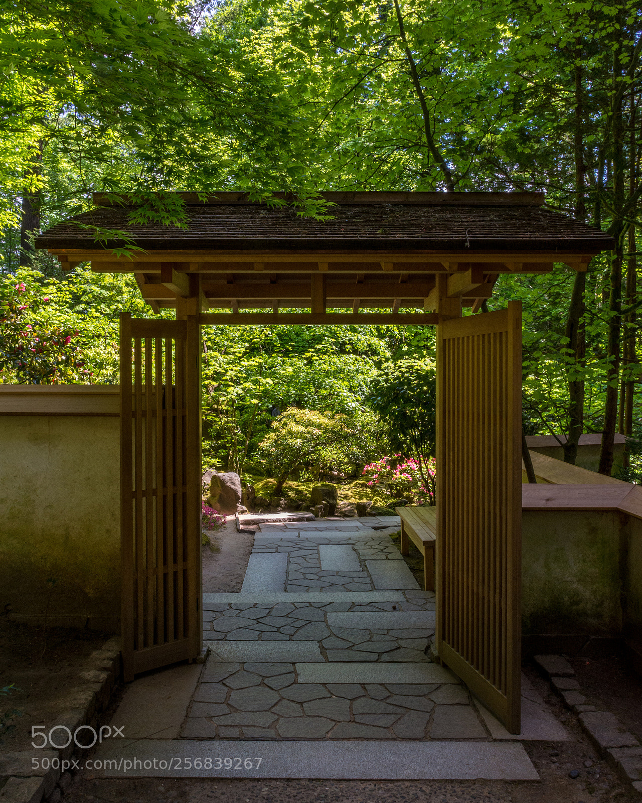 Nikon D7100 sample photo. Portal between gardens photography