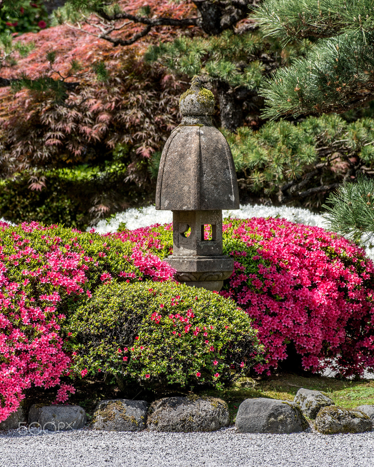 Nikon D7100 sample photo. Lantern and blooms photography