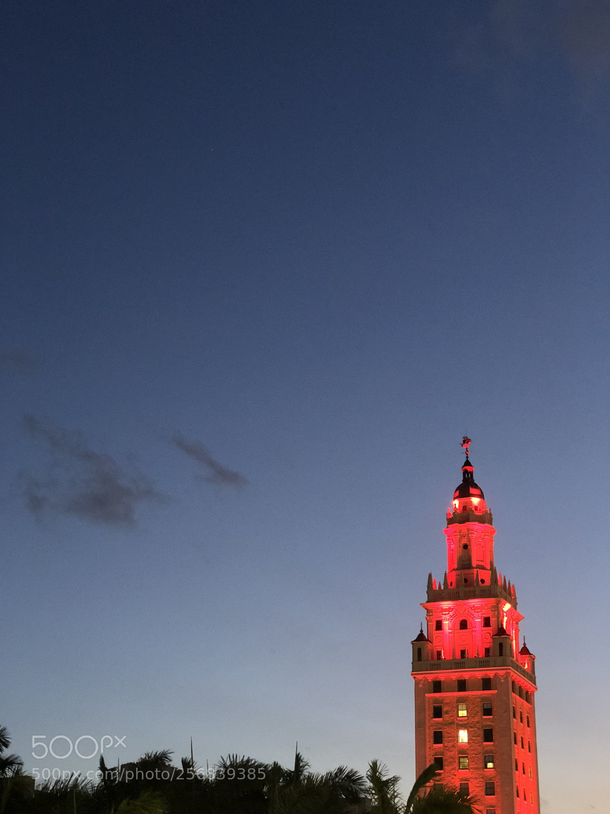 Apple iPhone X sample photo. Miami and freedom photography