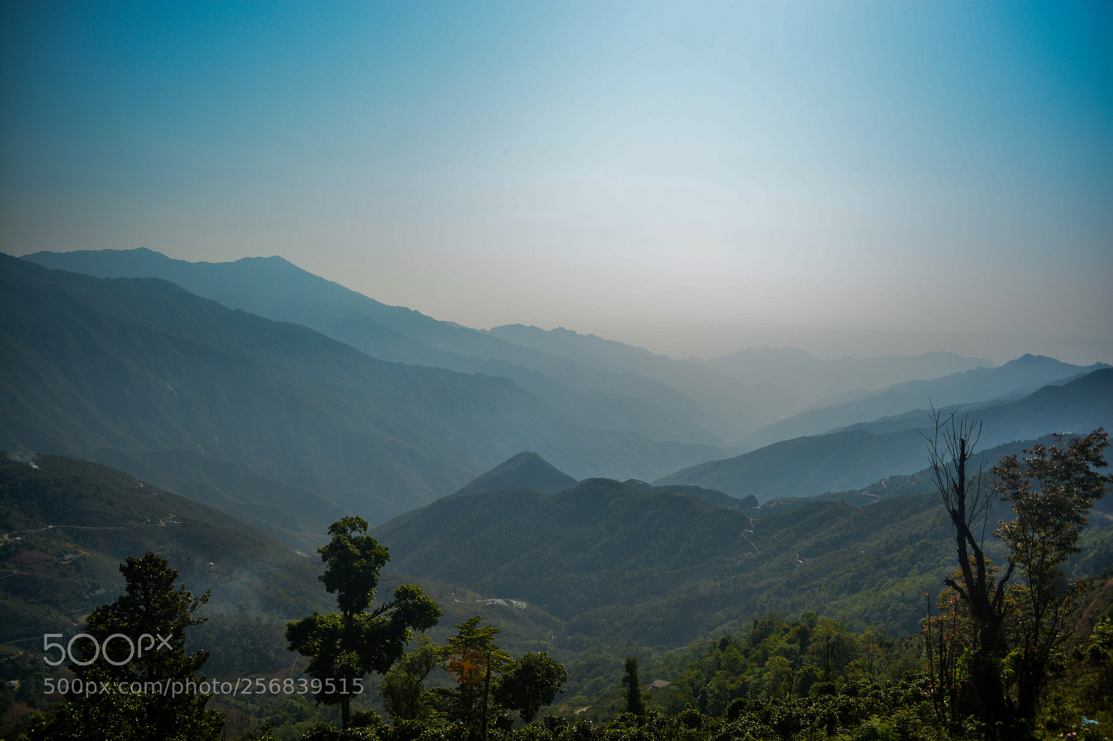 Nikon D5200 sample photo. Taxua photography