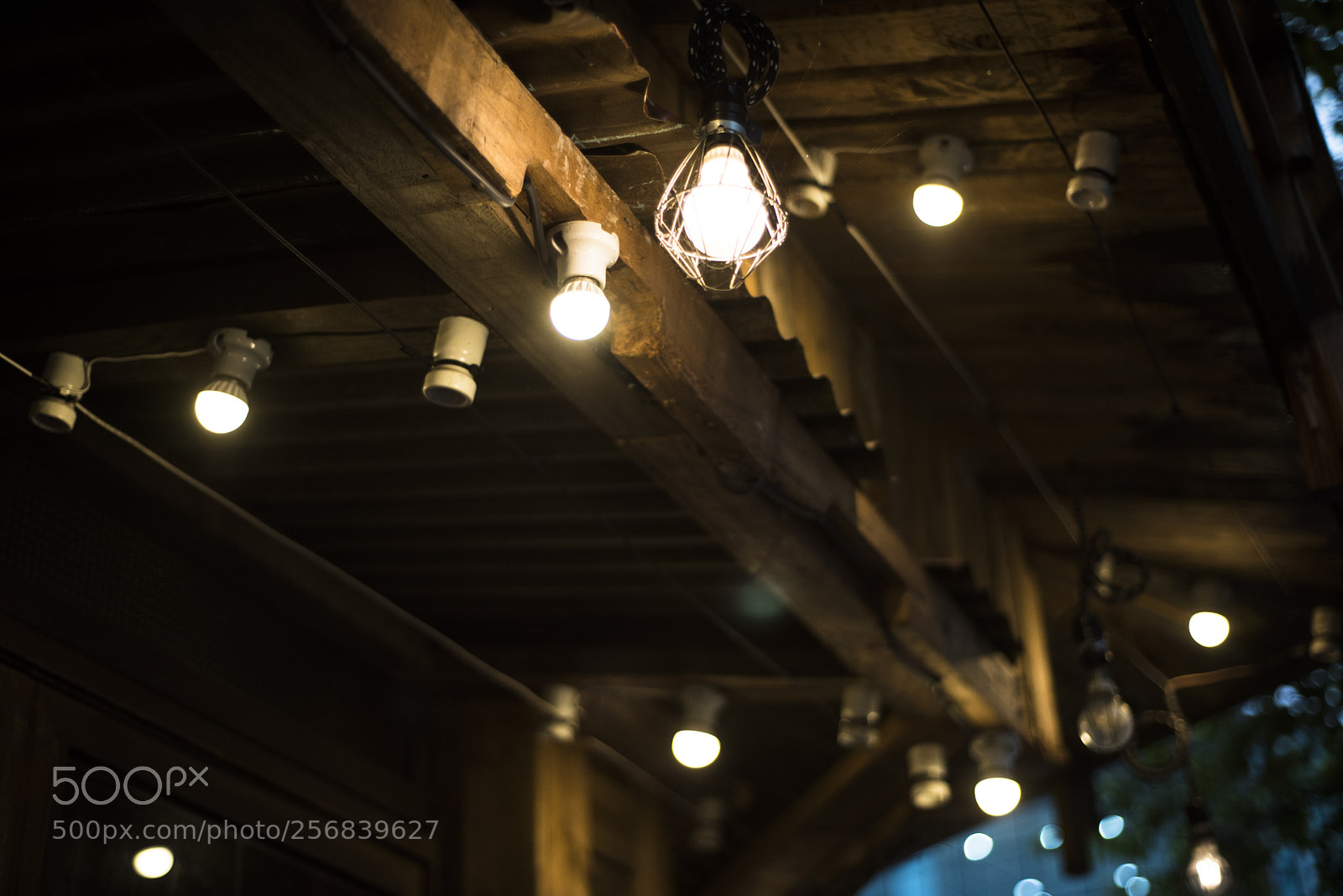 Nikon D810 sample photo. In a town   no.17 photography