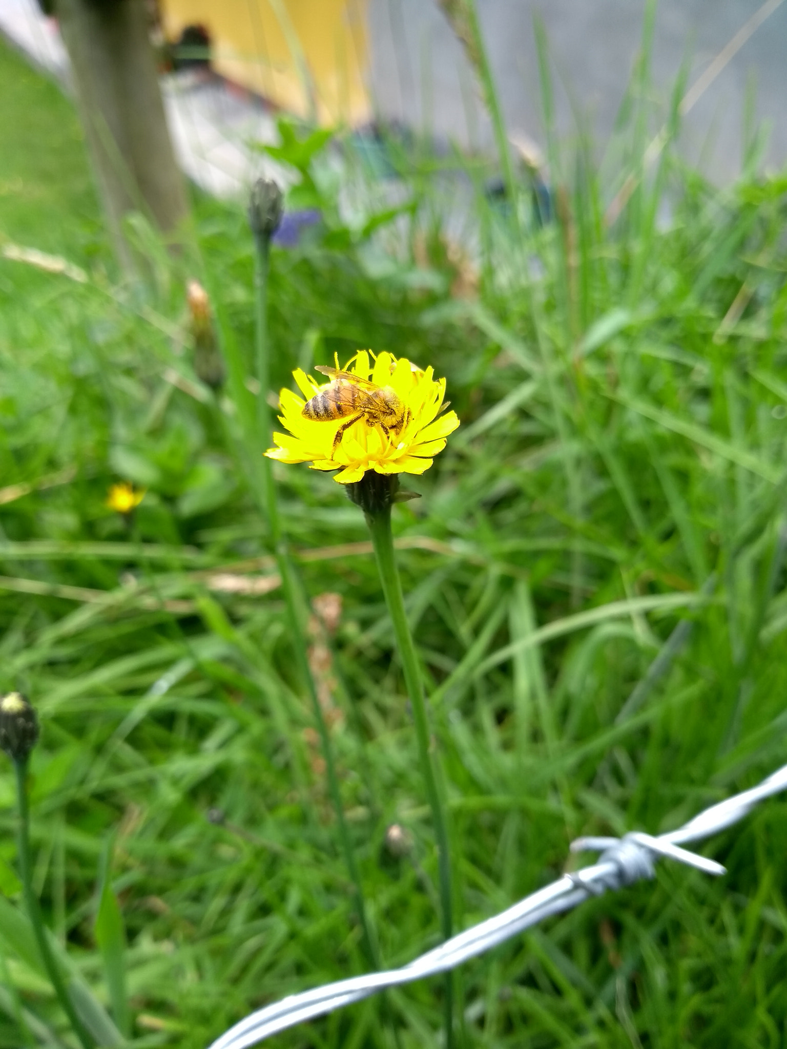 Motorola Moto G (5S) sample photo