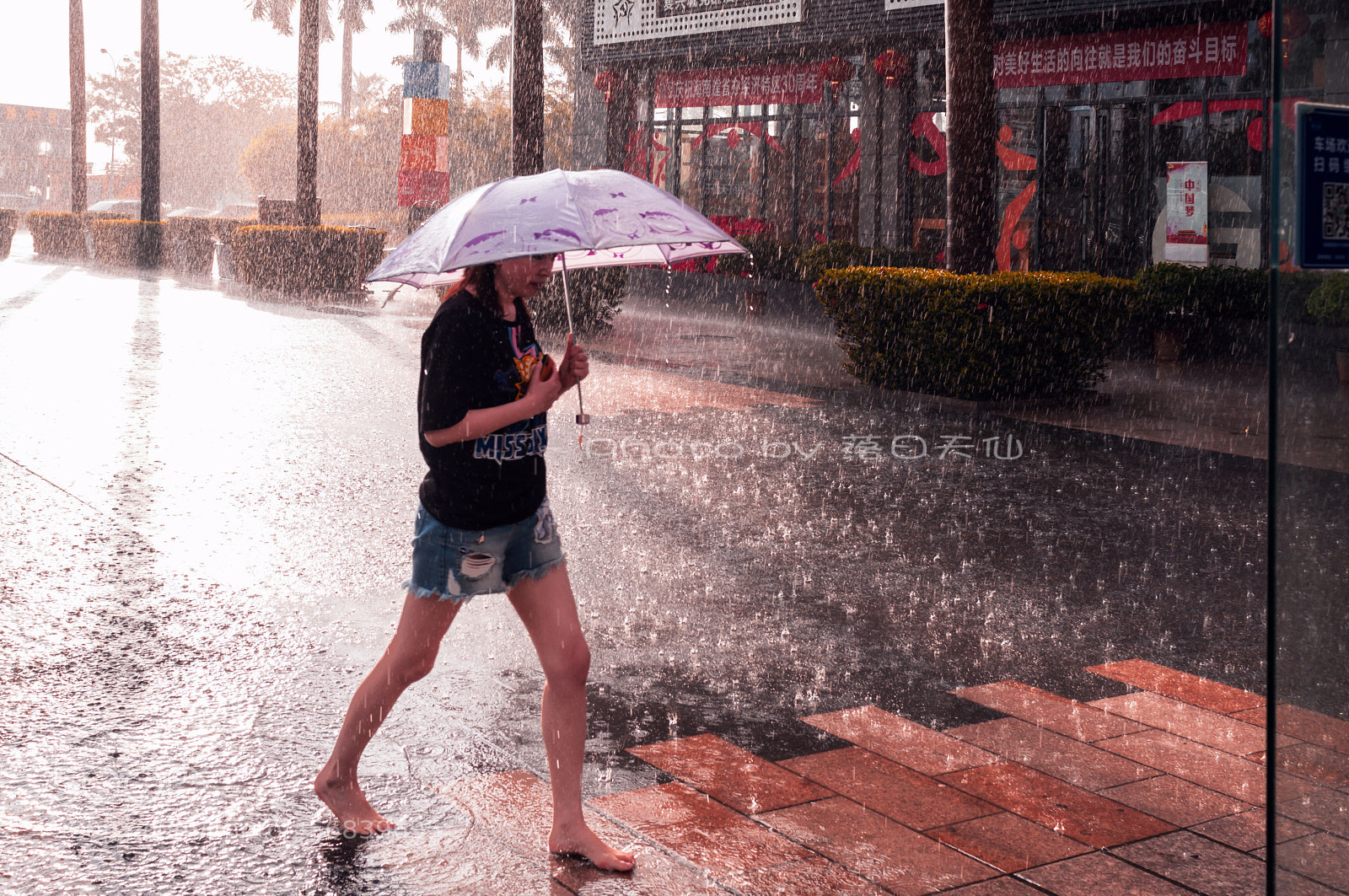 Nikon D90 sample photo. 在雨中…… photography