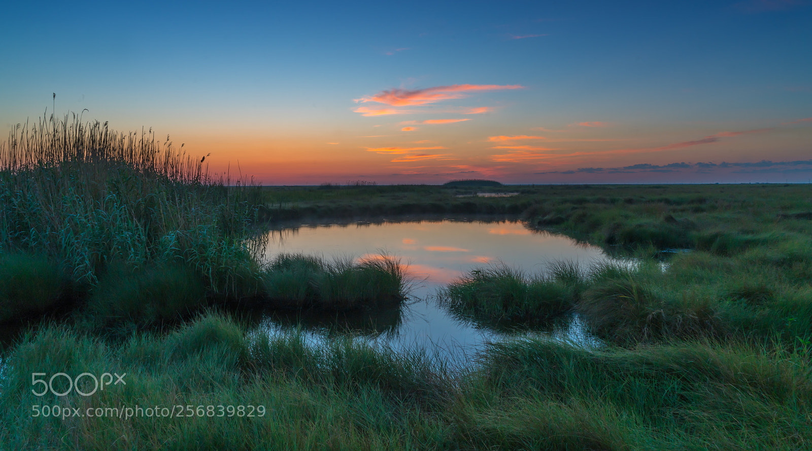 Sony a7R II sample photo. South louisiana marsh sunrise photography