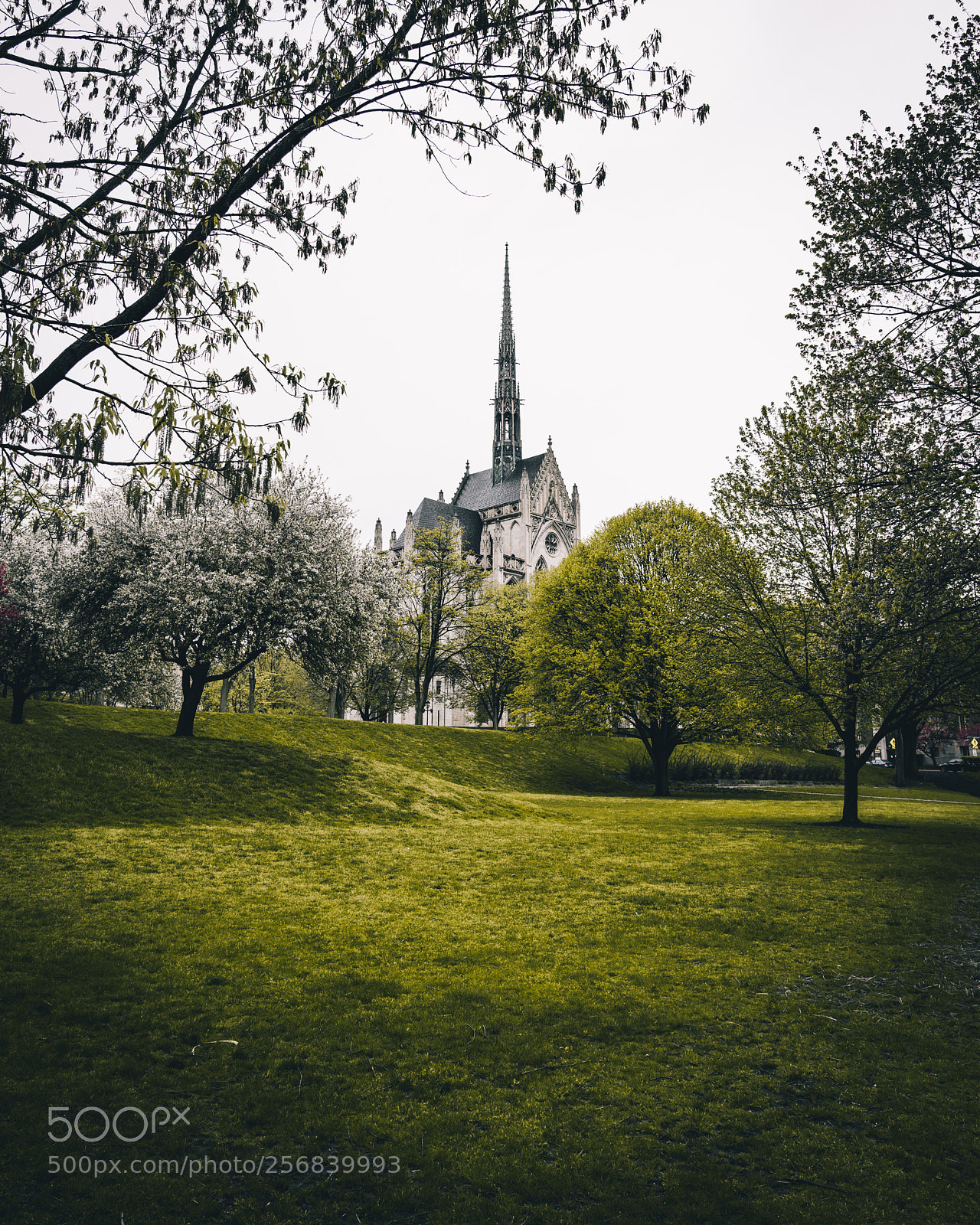 Sony a7R II sample photo. The chapel photography
