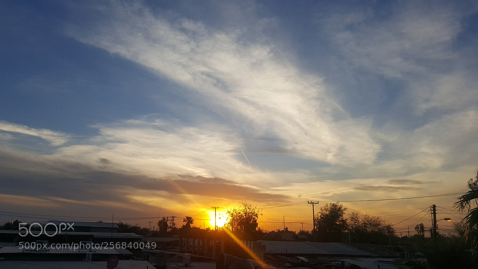 Samsung Galaxy Note5 sample photo. Untitled photography
