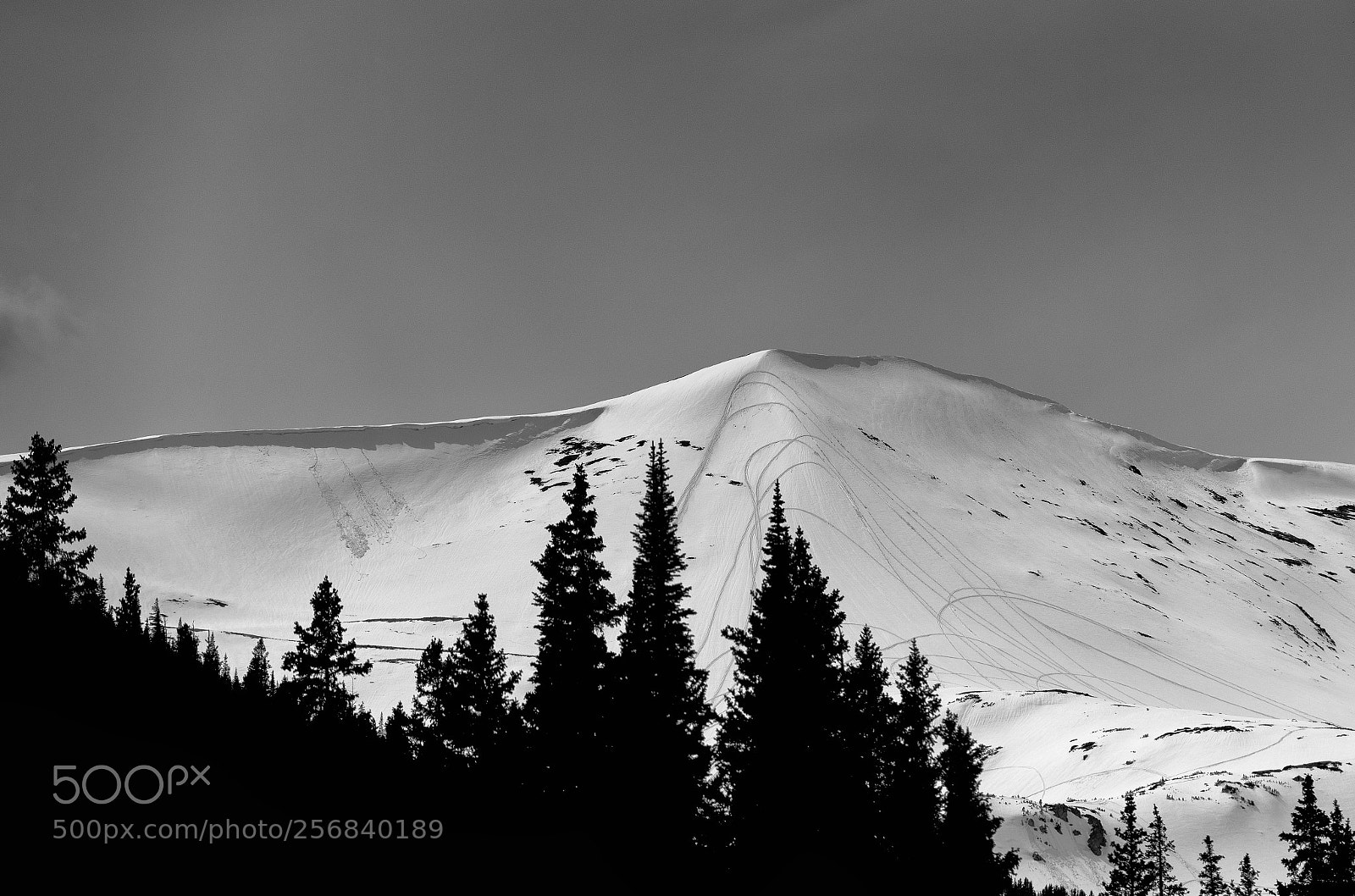 Nikon D750 sample photo. Snowmobiling, anyone? photography