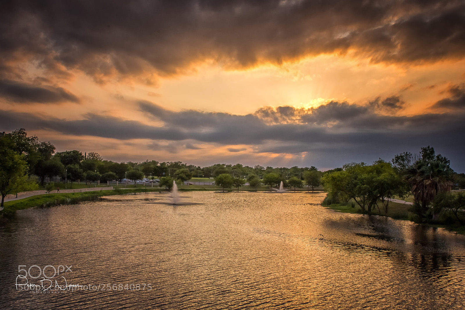 Nikon D750 sample photo. Sun rays photography