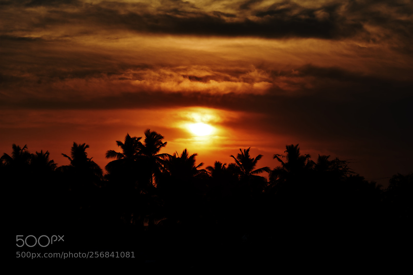 Nikon D3400 sample photo. Sunset photography