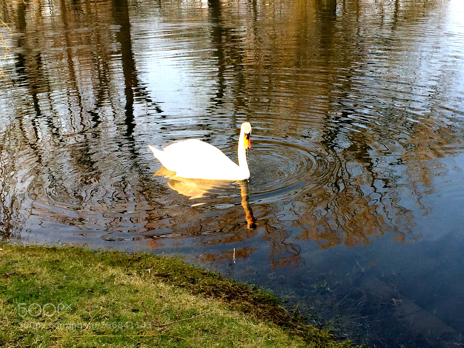 Apple iPhone 5s sample photo. Img photography