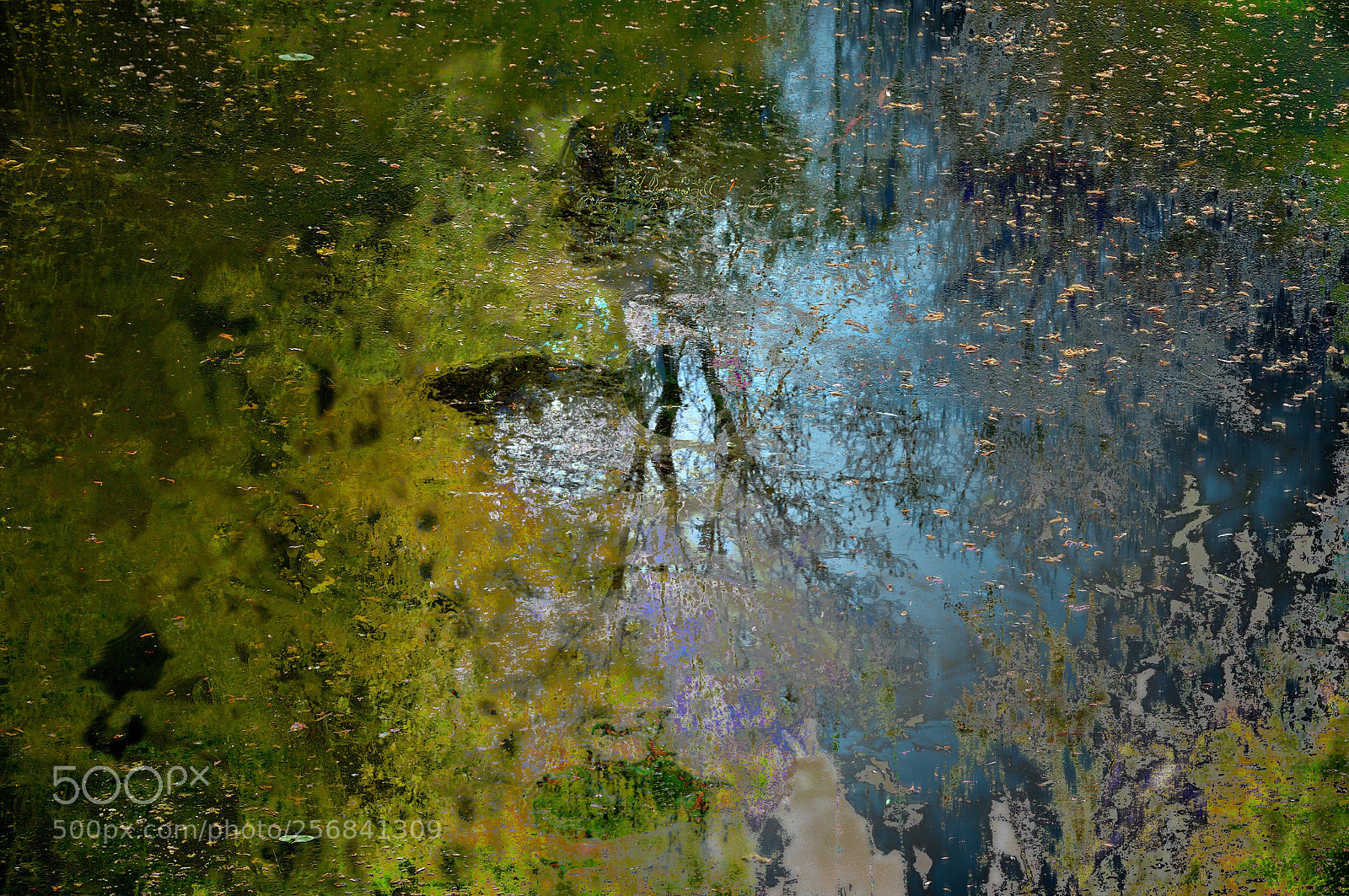 Nikon D300 sample photo. Oneirism of giverny pond photography