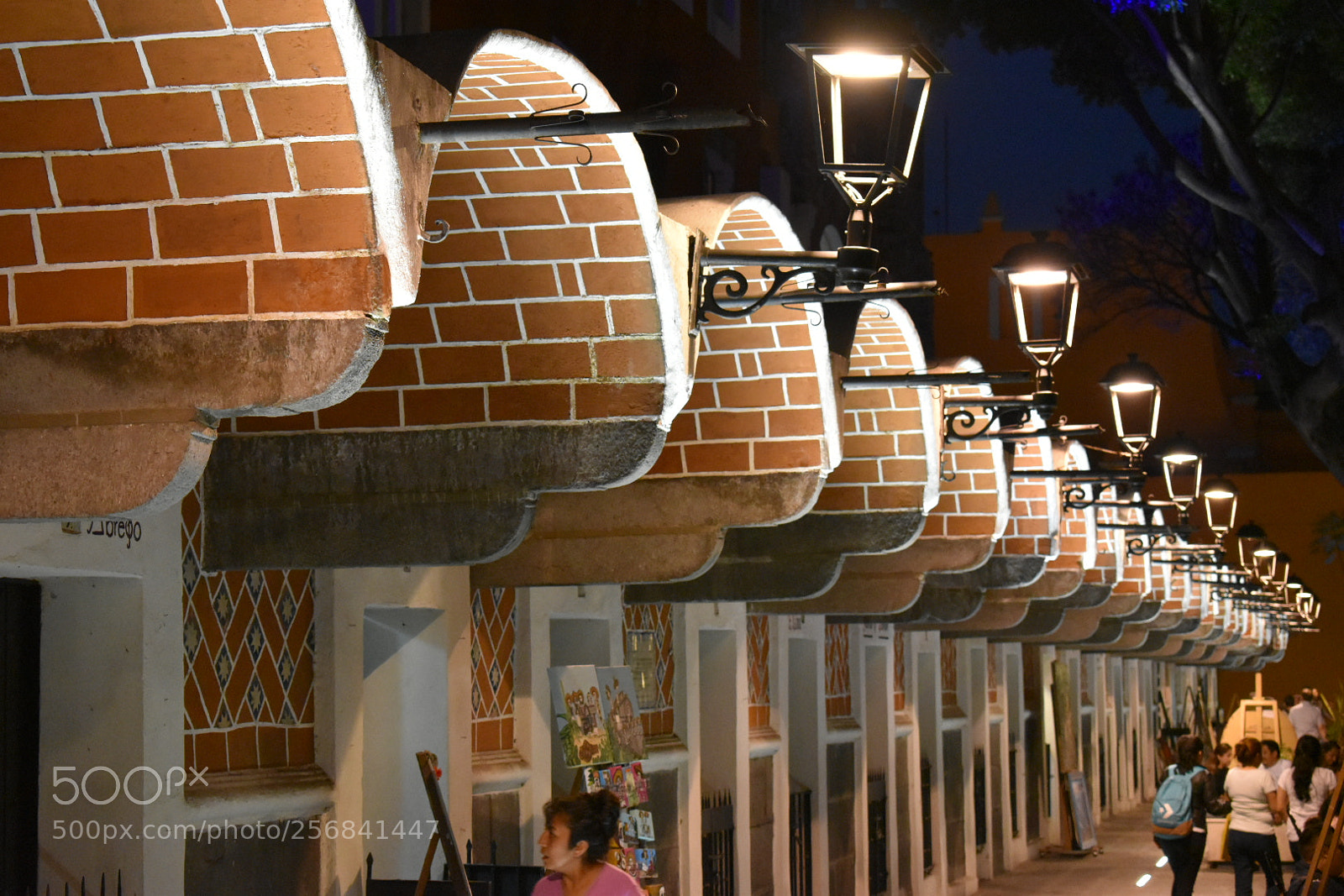 Nikon D5600 sample photo. Barrio del artista photography