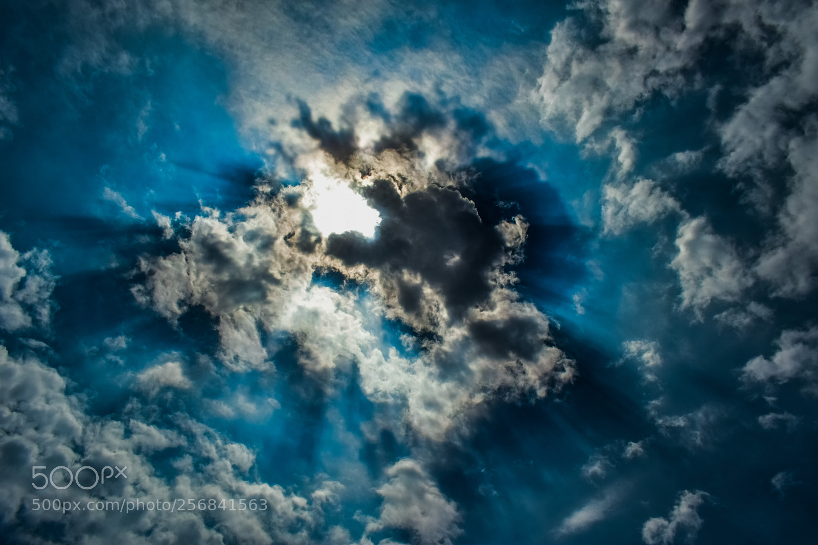 Nikon D3300 sample photo. 22.jpg photography