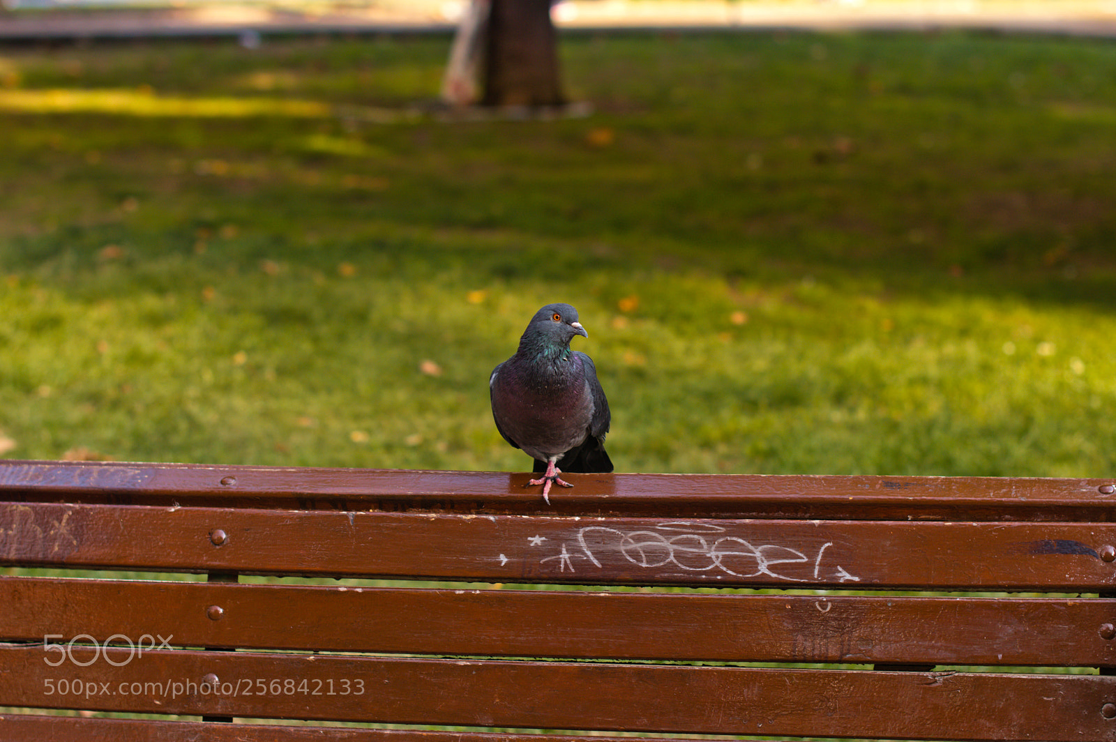 Nikon D3200 sample photo. Primera junta amateur photography