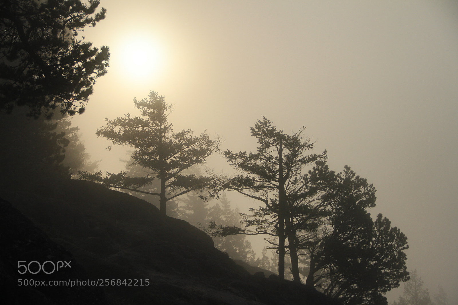 Canon EF-S 18-135mm F3.5-5.6 IS sample photo. Early morning sun breaks photography