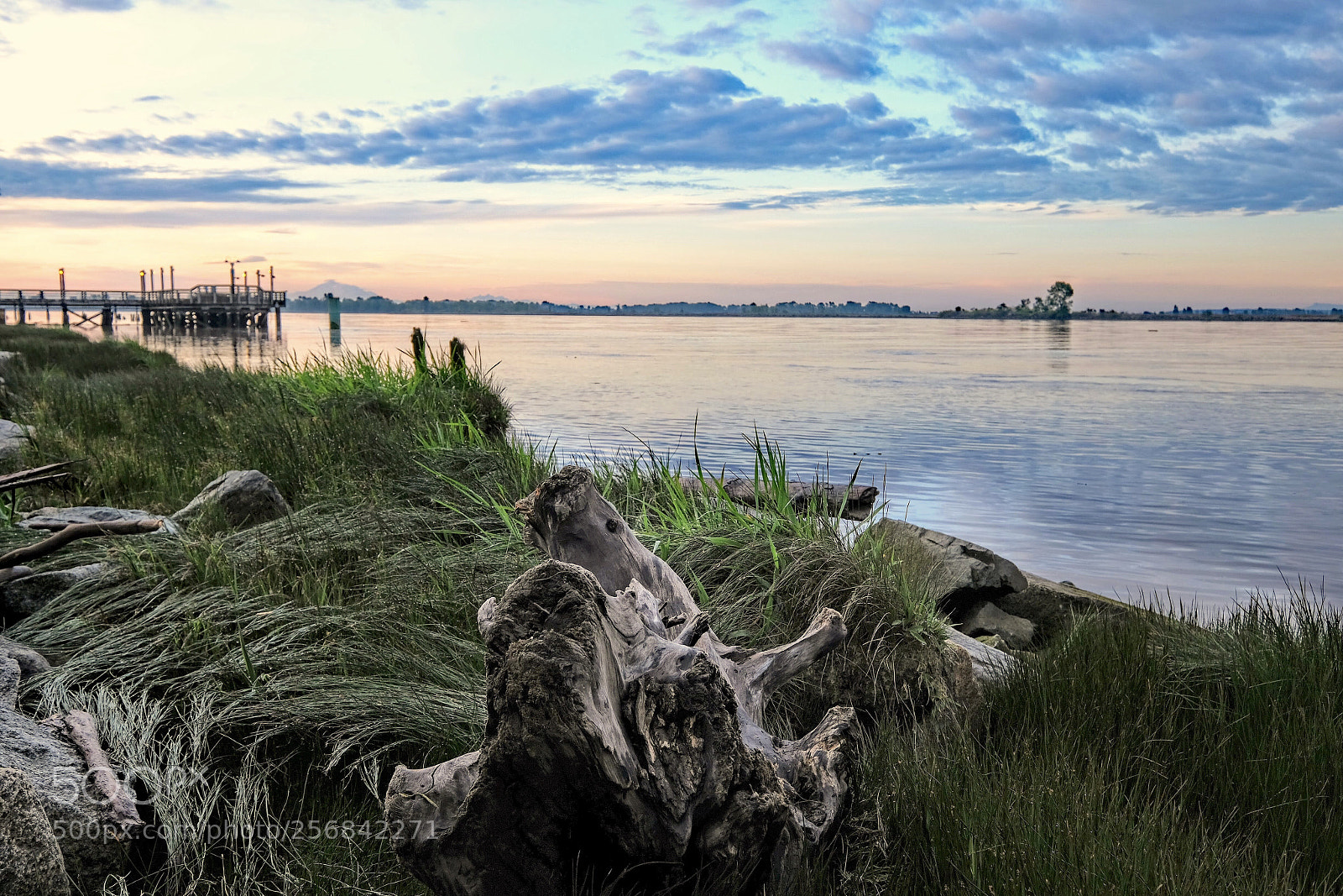 Fujifilm X-T2 sample photo. River bank photography