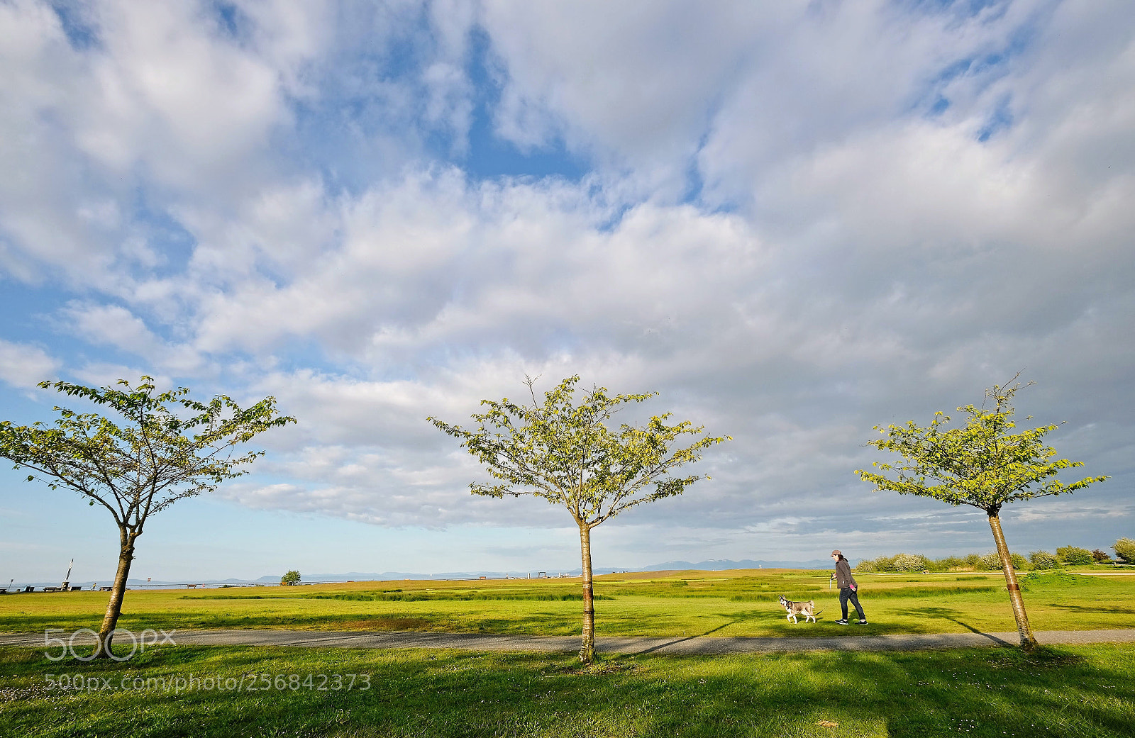 Fujifilm X-T2 sample photo. Tree, woman and dog photography
