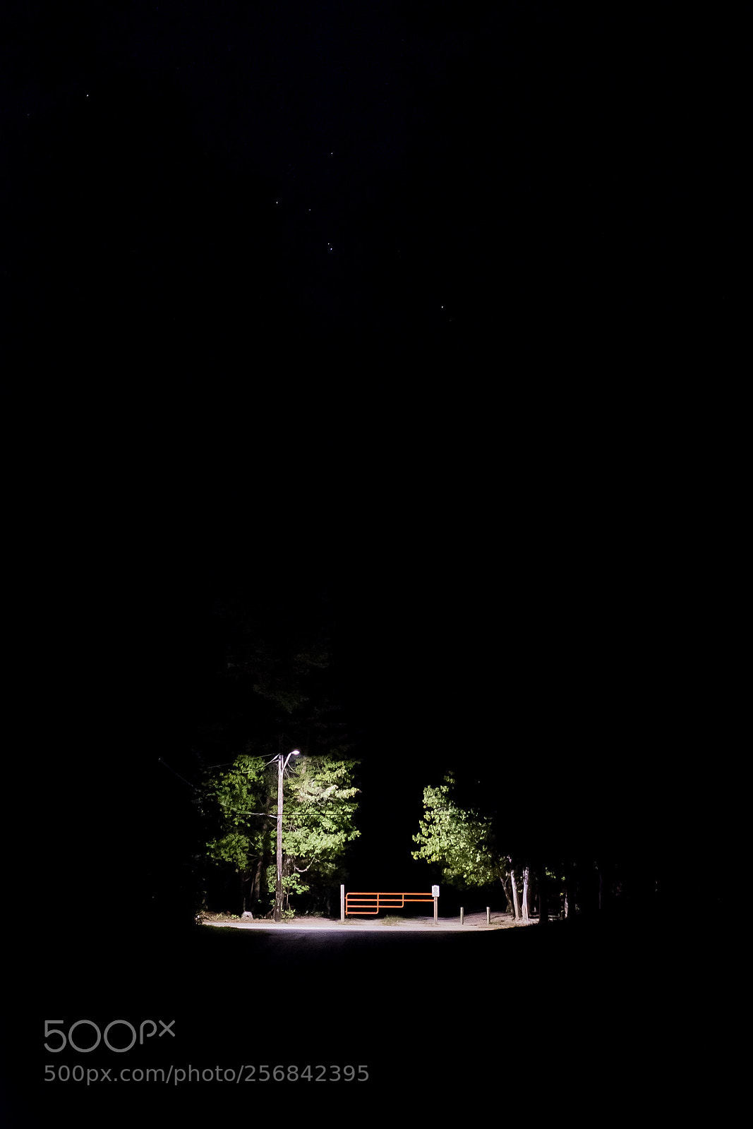 Canon EOS 6D sample photo. Img photography