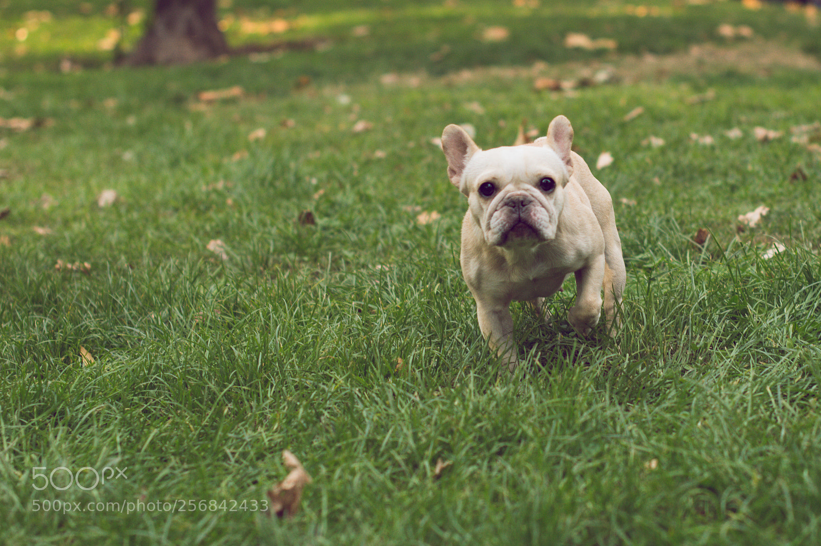 Nikon D3200 sample photo. Primera junta amateur photography