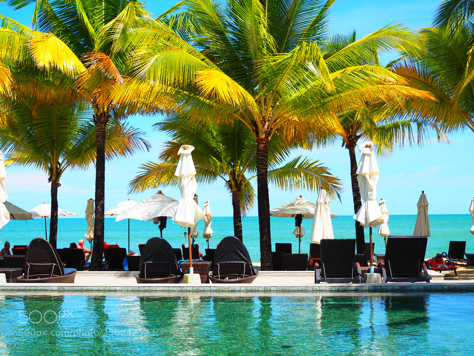 Olympus OM-D E-M10 sample photo. Morning poolside photography