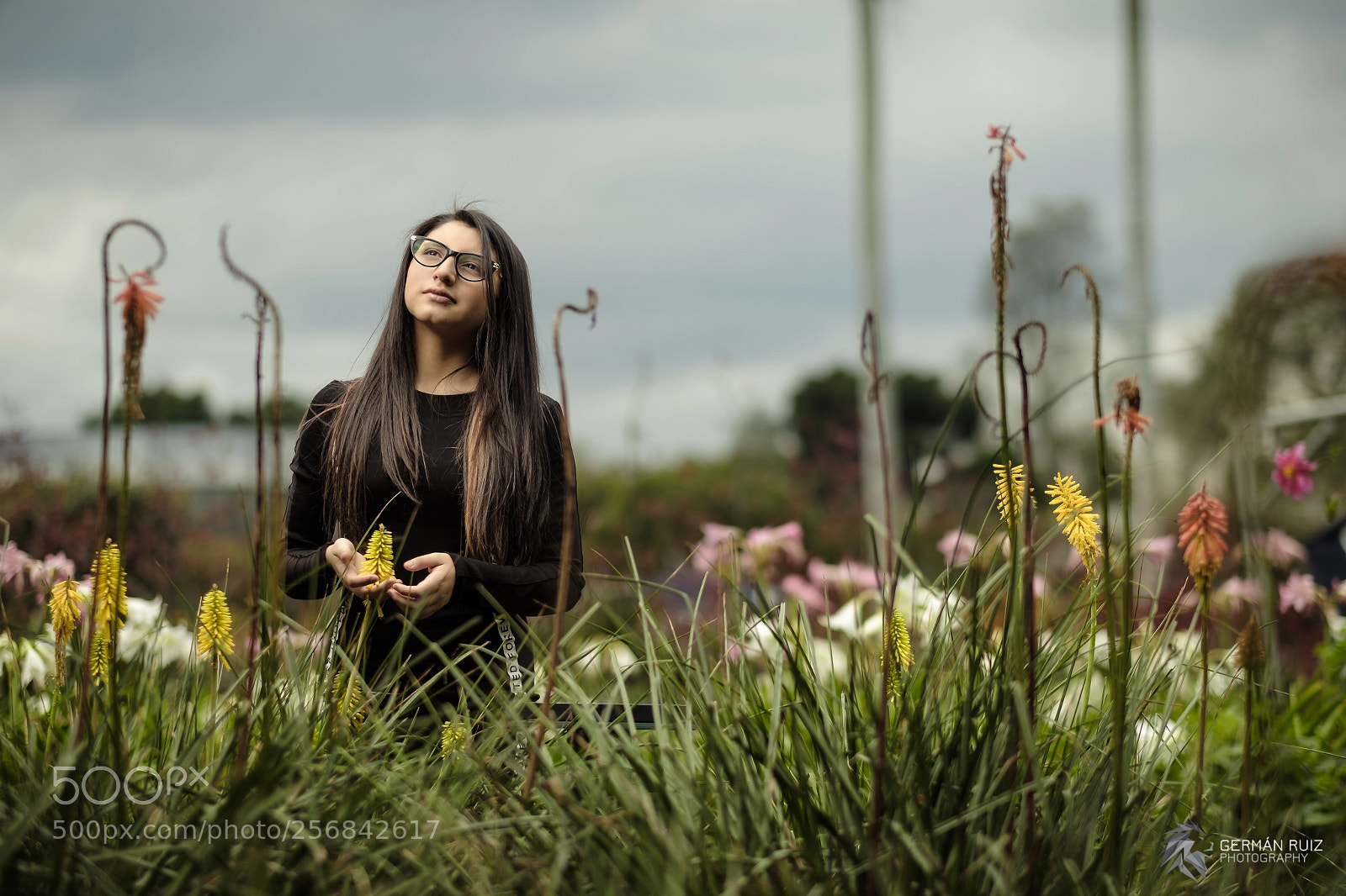 Fujifilm X-Pro2 sample photo. Laurita photography