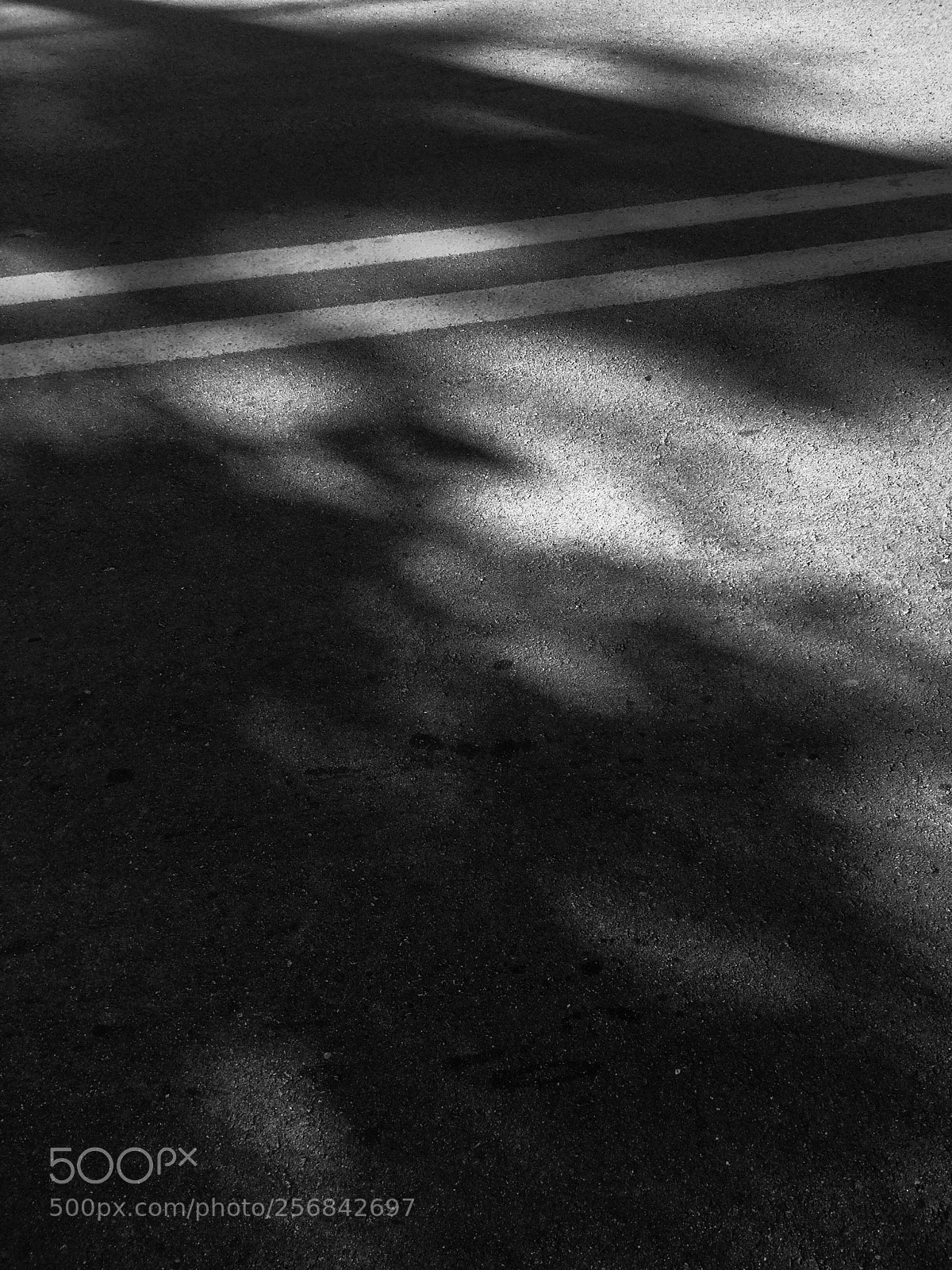 Apple iPhone 5s sample photo. B&w road photography
