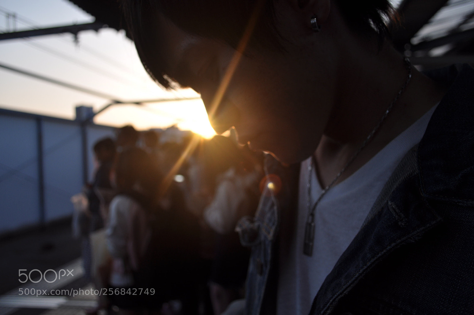 Nikon D5000 sample photo. Untitled photography