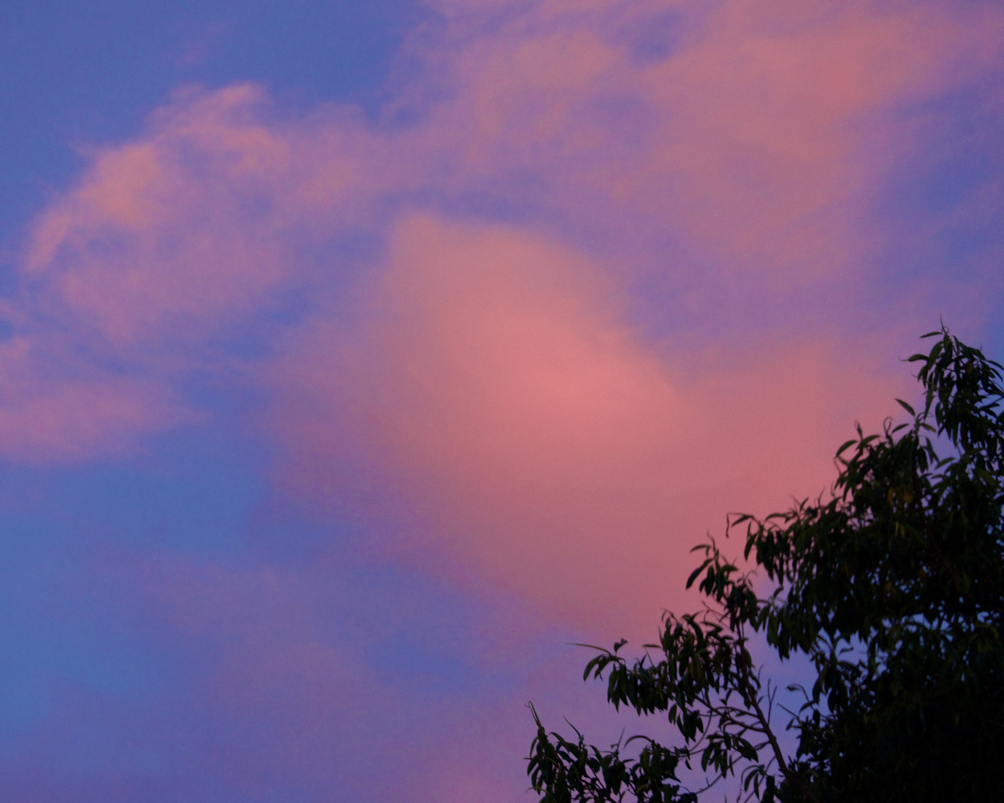 Sony Alpha NEX-3N sample photo. Saccharine skies photography