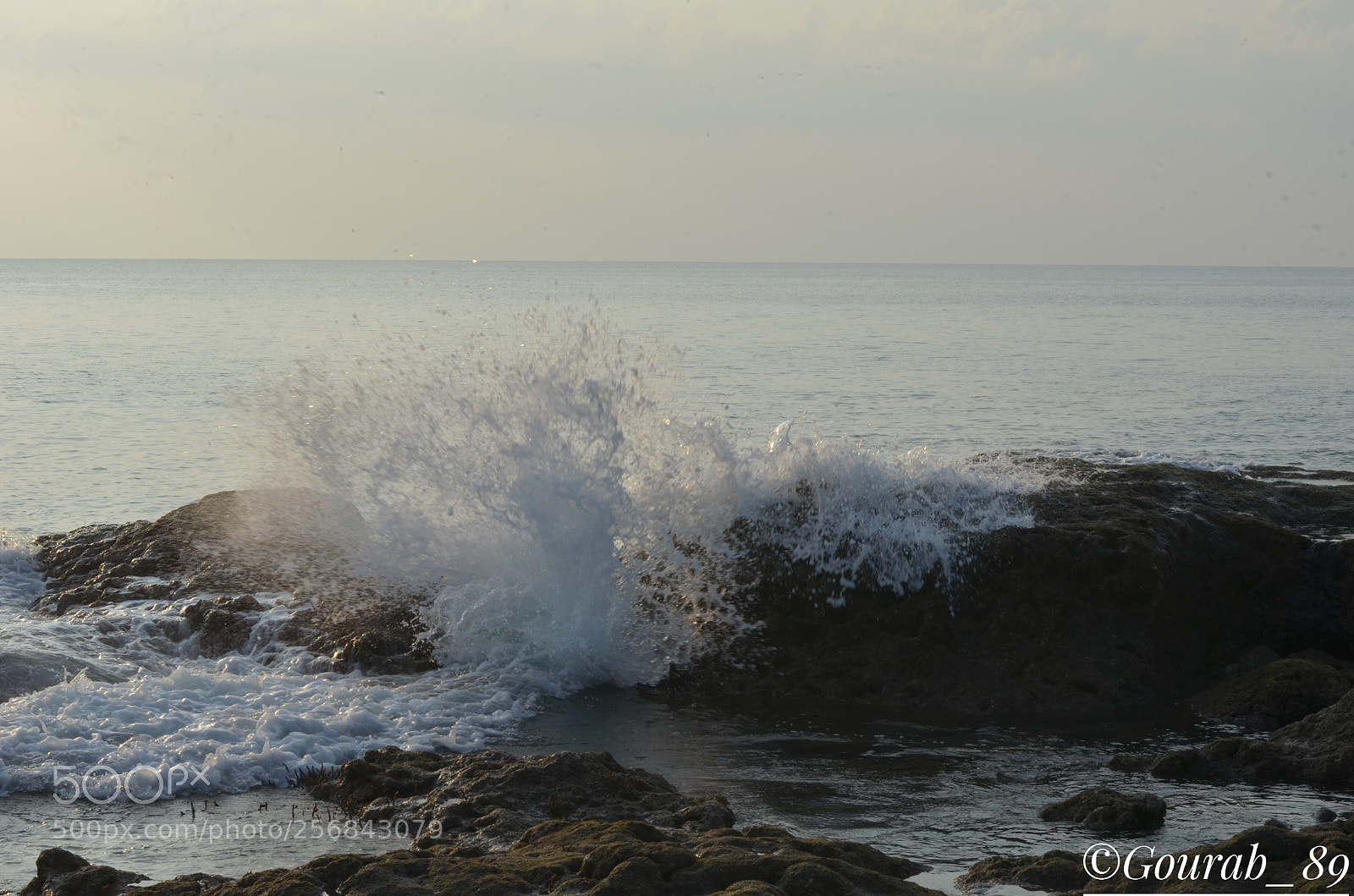 Nikon D5100 sample photo. Water splash photography