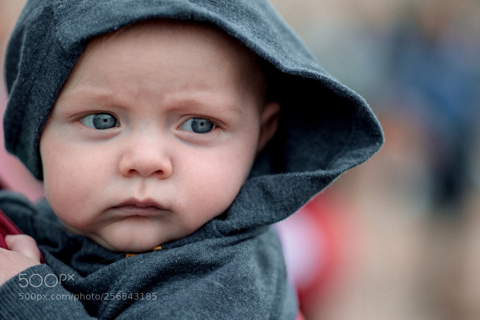 Nikon D810 sample photo. Little boy photography